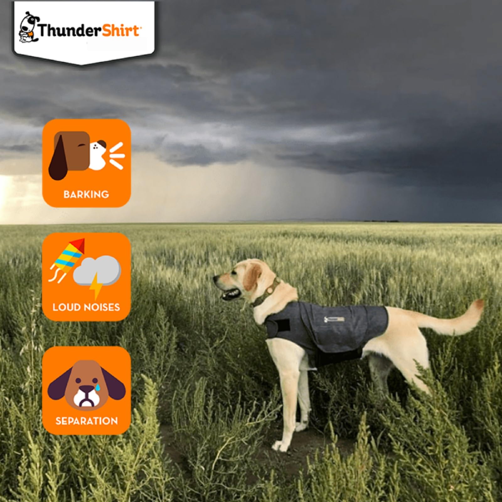 Thundershirt Anxiety Coat for Dog - Calming Pressure Wrap | Size M | Heather Grey 3