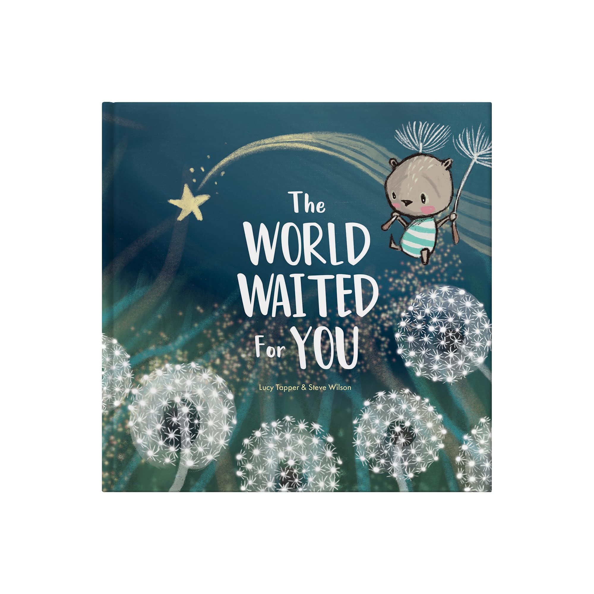FROM YOU TO ME The World Waited For You - New Baby Gift Keepsake Book | Hardcover | Picture Book