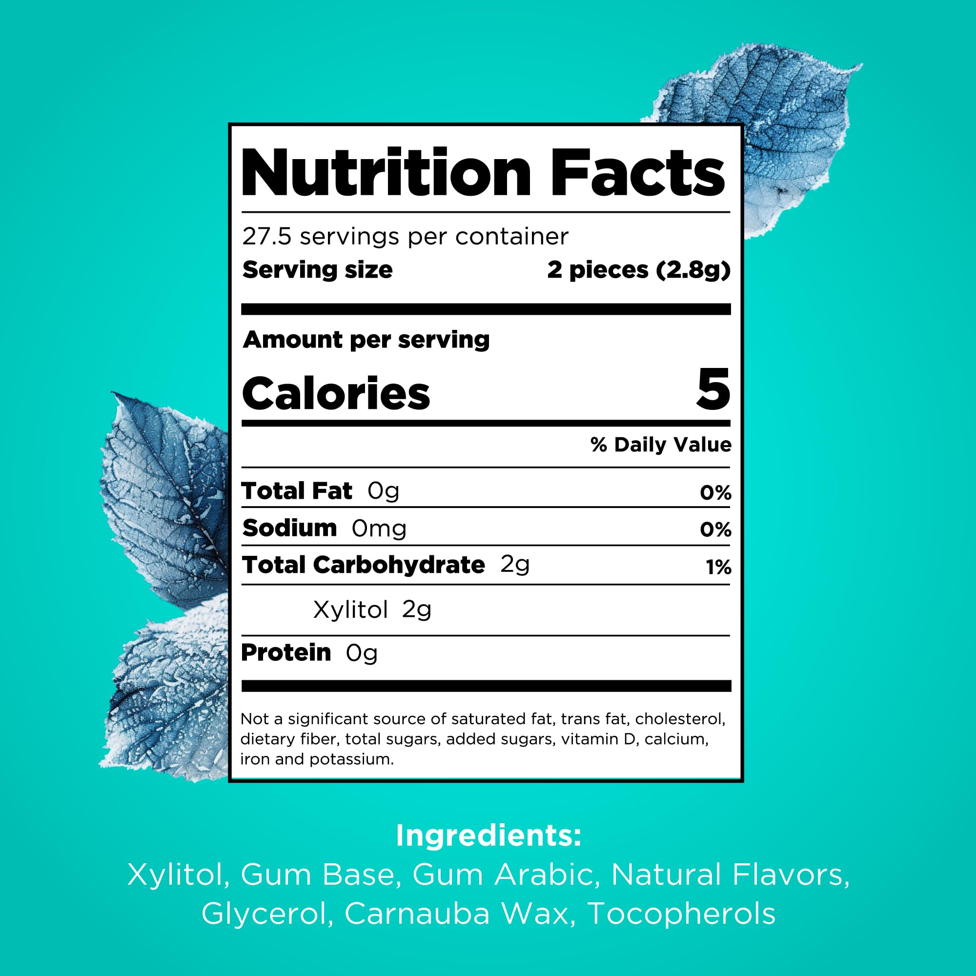 PUR - Natural Wintergreen Sugar-Free Chewing Gum (55 Pieces, Pack of 6) 4