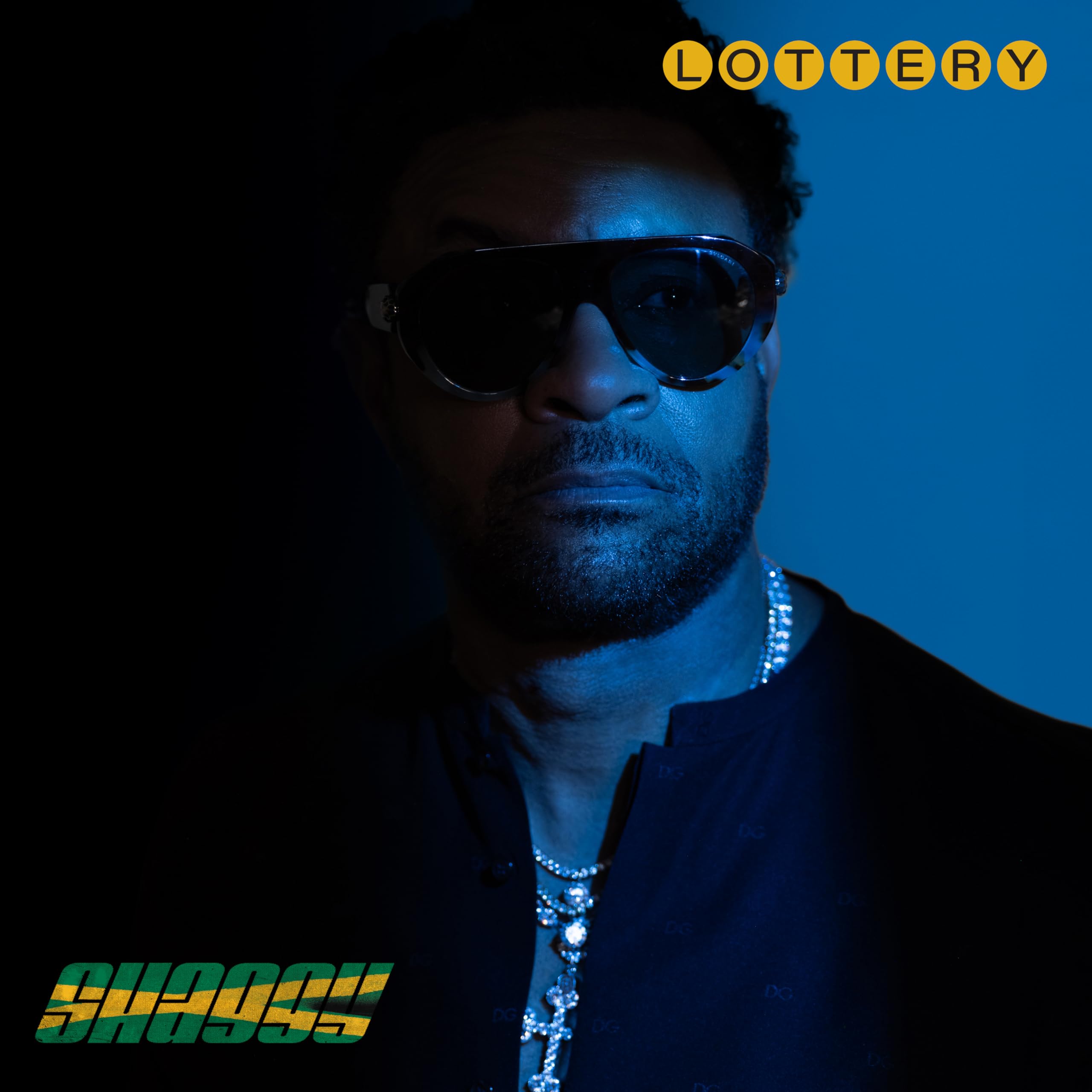 Shaggy - Lottery [CD]