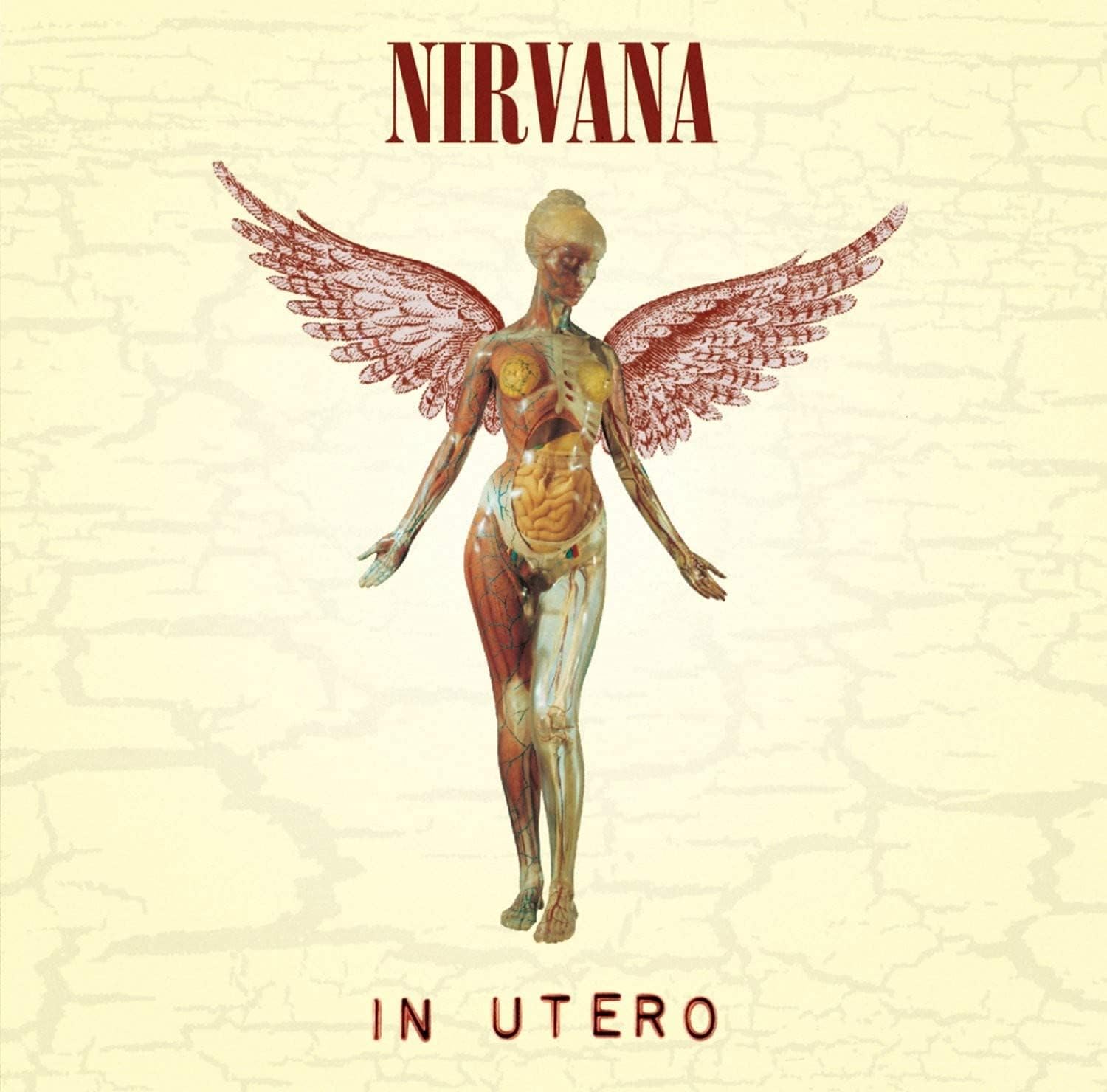 Nirvana - In Utero VINYL