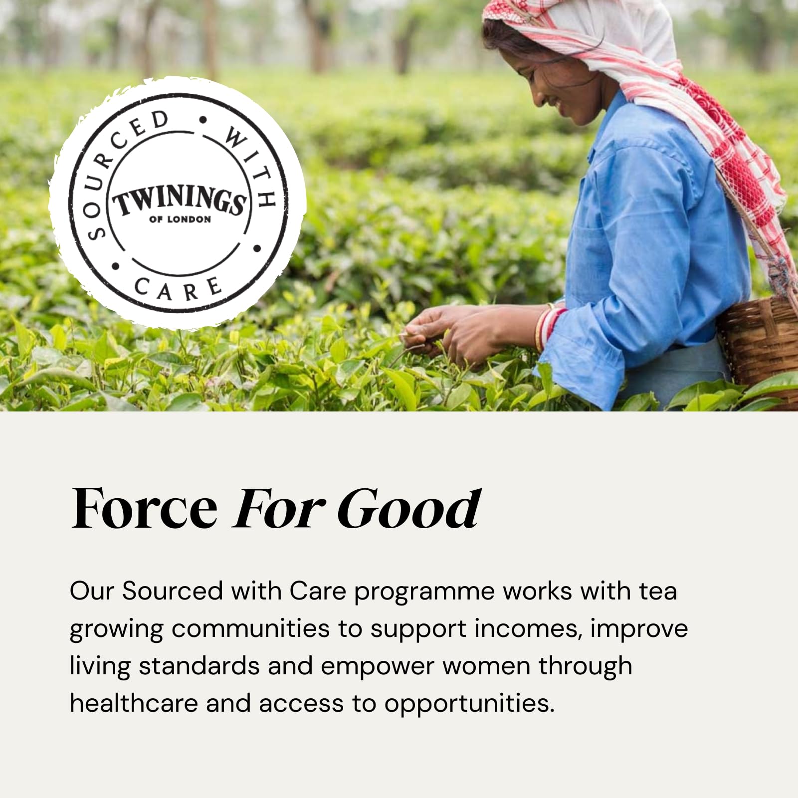 Twinings Superblends Collection Gift Box - 20 Recyclable Herbal & Green Tea Bags 11