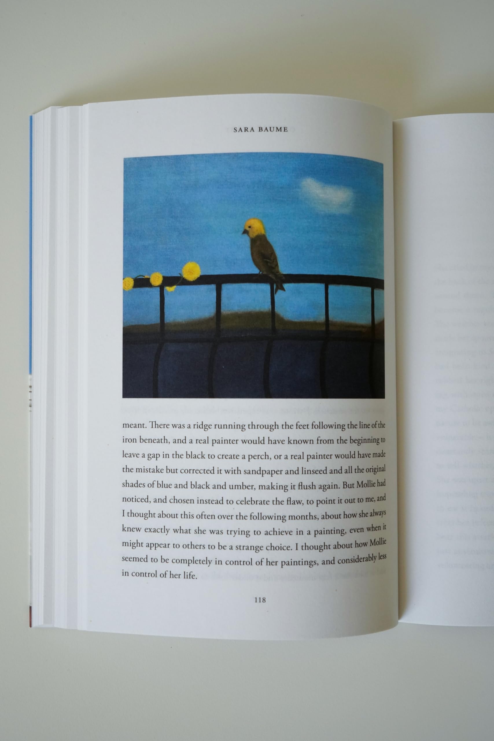 Sara Baume - Opening Night | Paperback 4