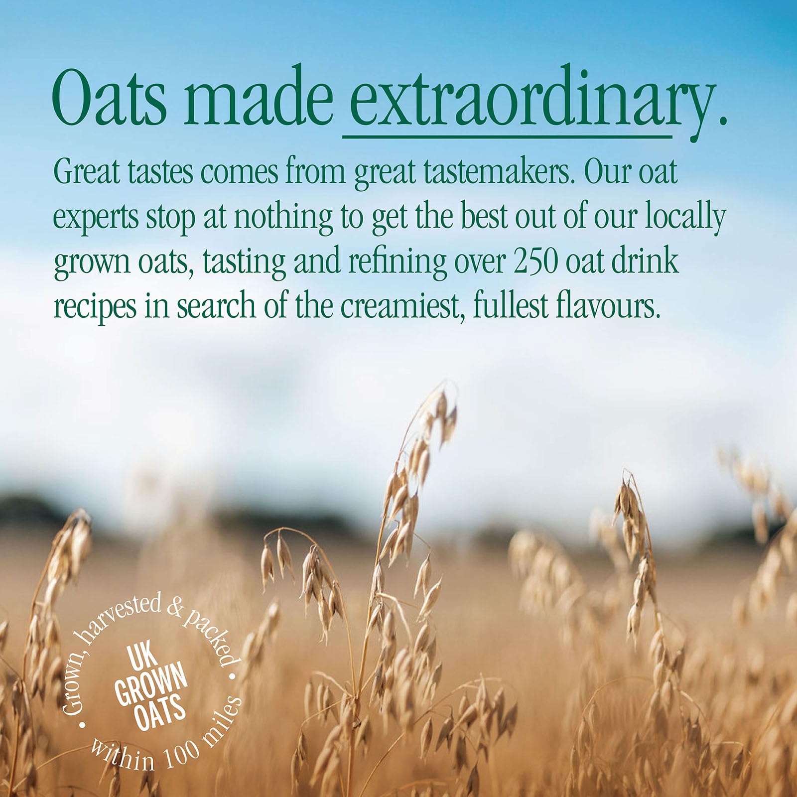 MOMA Barista Edition Oat Drink - 1L - Unsweetened Plant-Based Oat Milk for Coffee, Fortified with Vitamins D, B2 & B12 4