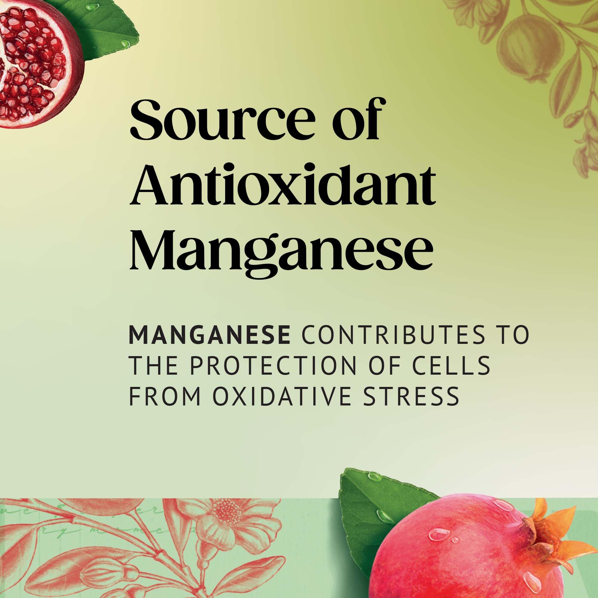 Twinings Green Tea & Pomegranate 80 Tea Bags (Multipack of 4 x 20 Bags) 3