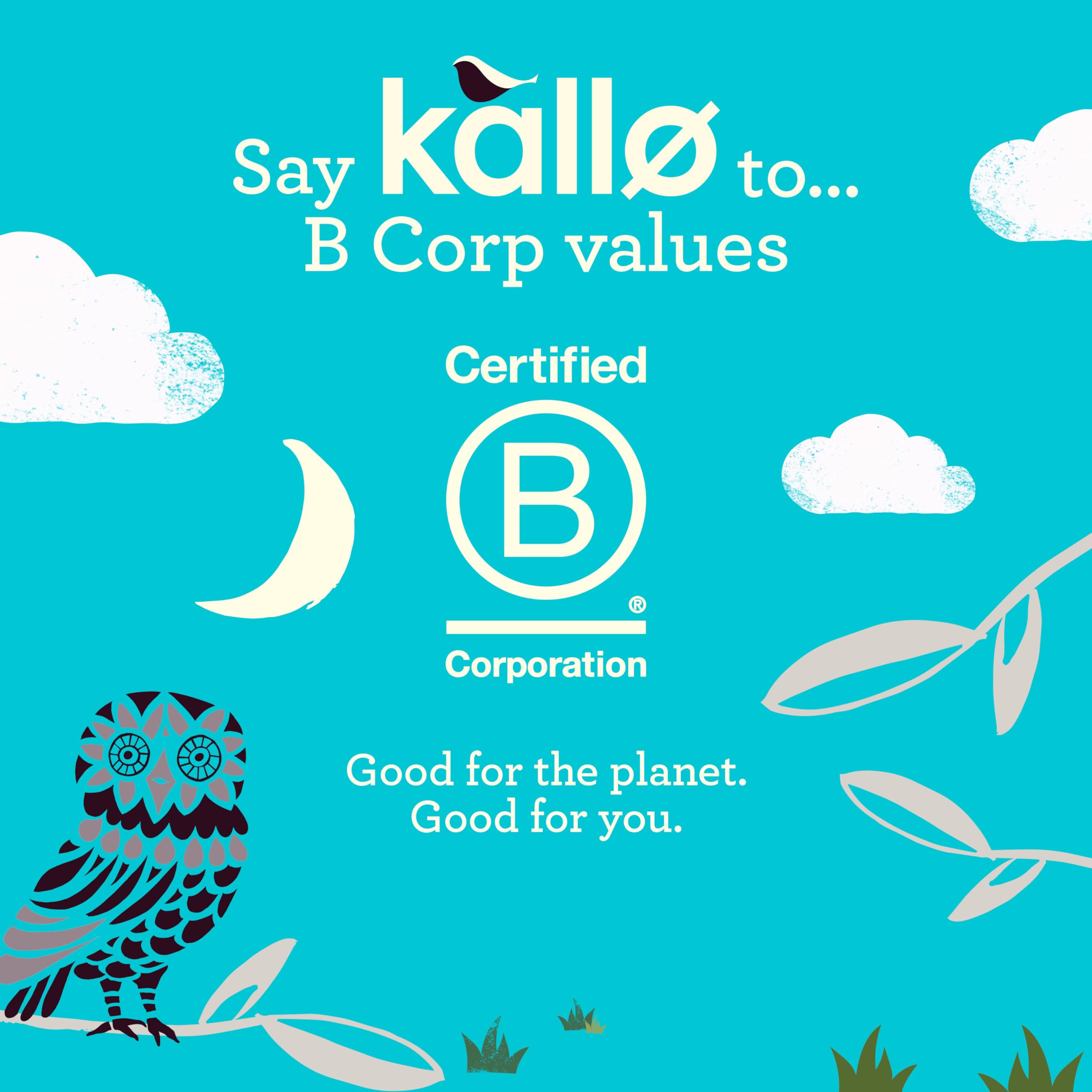 Kallo Dark Chocolate Mini Rice Cakes - Gluten Free, Vegetarian | 9 x 84g Packs 6