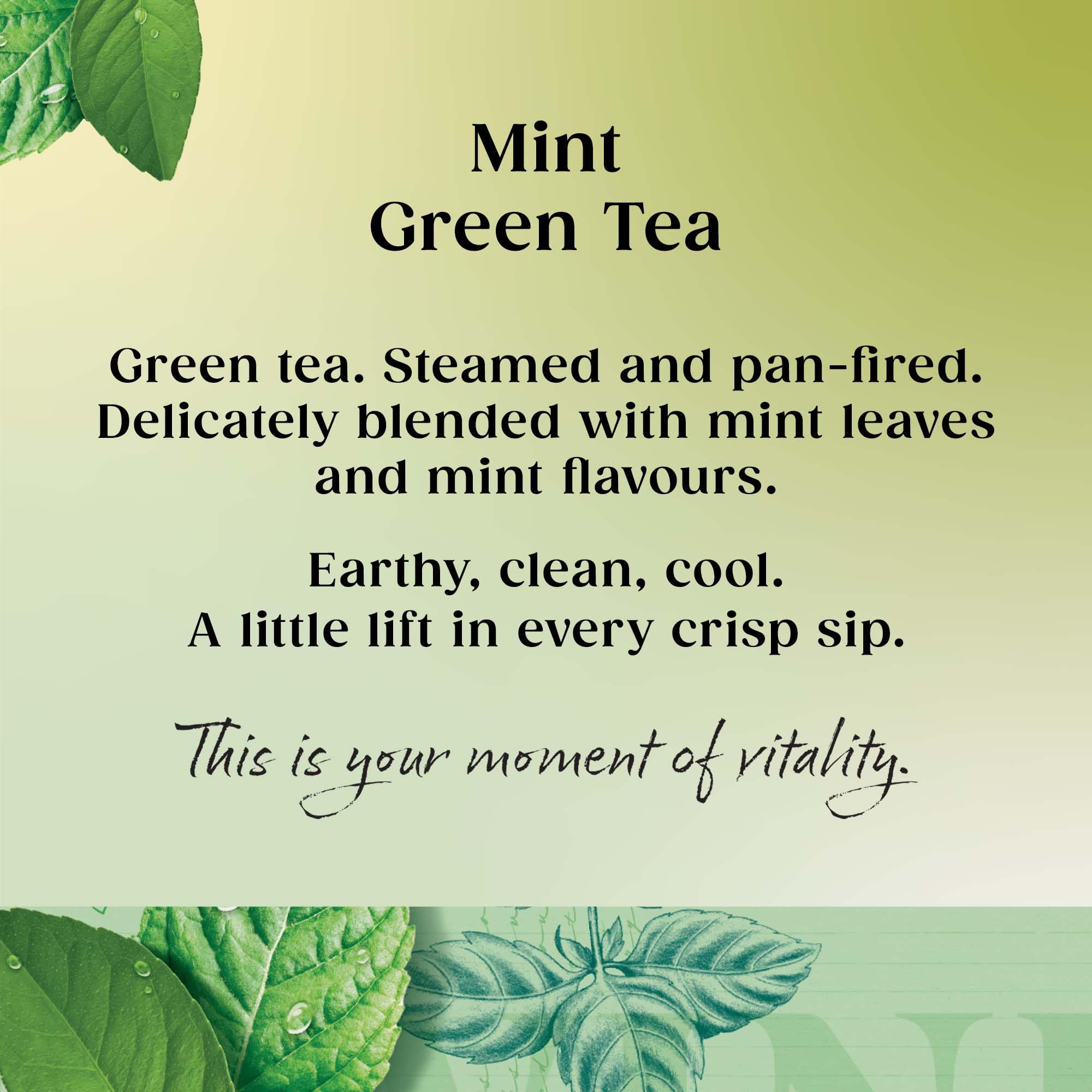 Twinings Mint Green Tea 20 Tea Bags 4