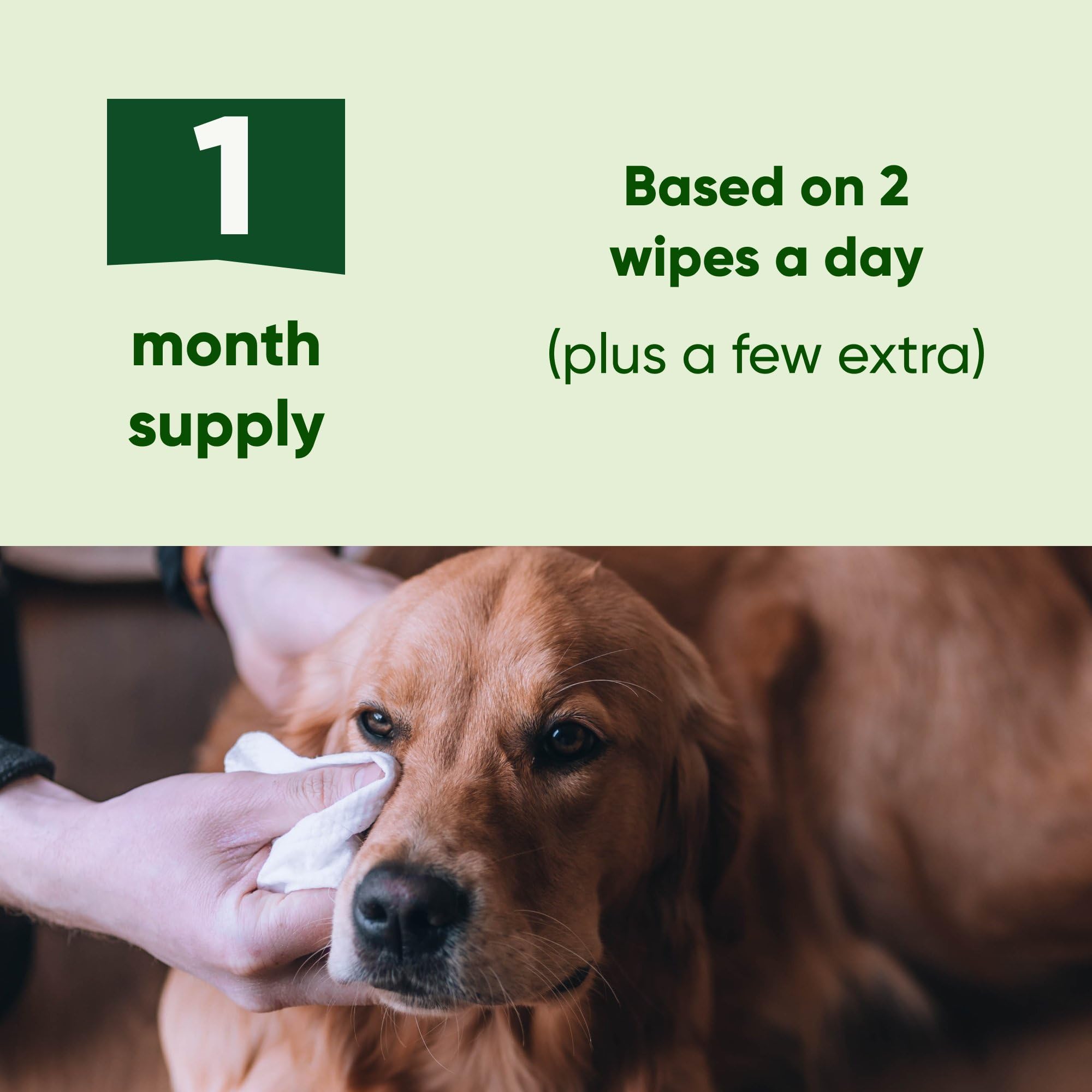 Beco Dog Eye Wipes - 70 Pack for Eye Discharge & Tear Stains | Aloe Vera & Cucumber Infused 9
