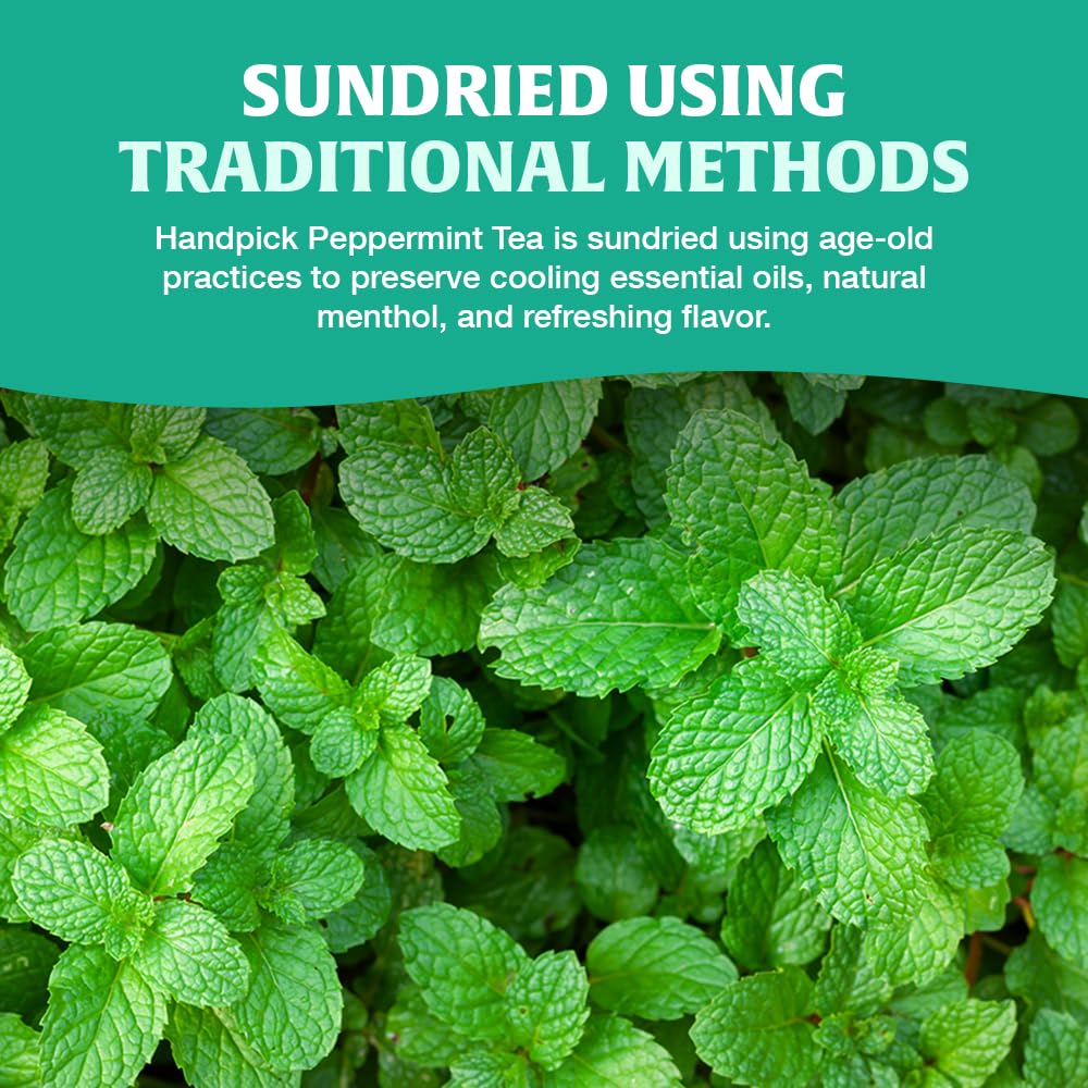 HANDPICK Peppermint Tea Bags (100 Count) Non-GMO, 100% Pure Herbal Tea - Minty & Refreshing 8