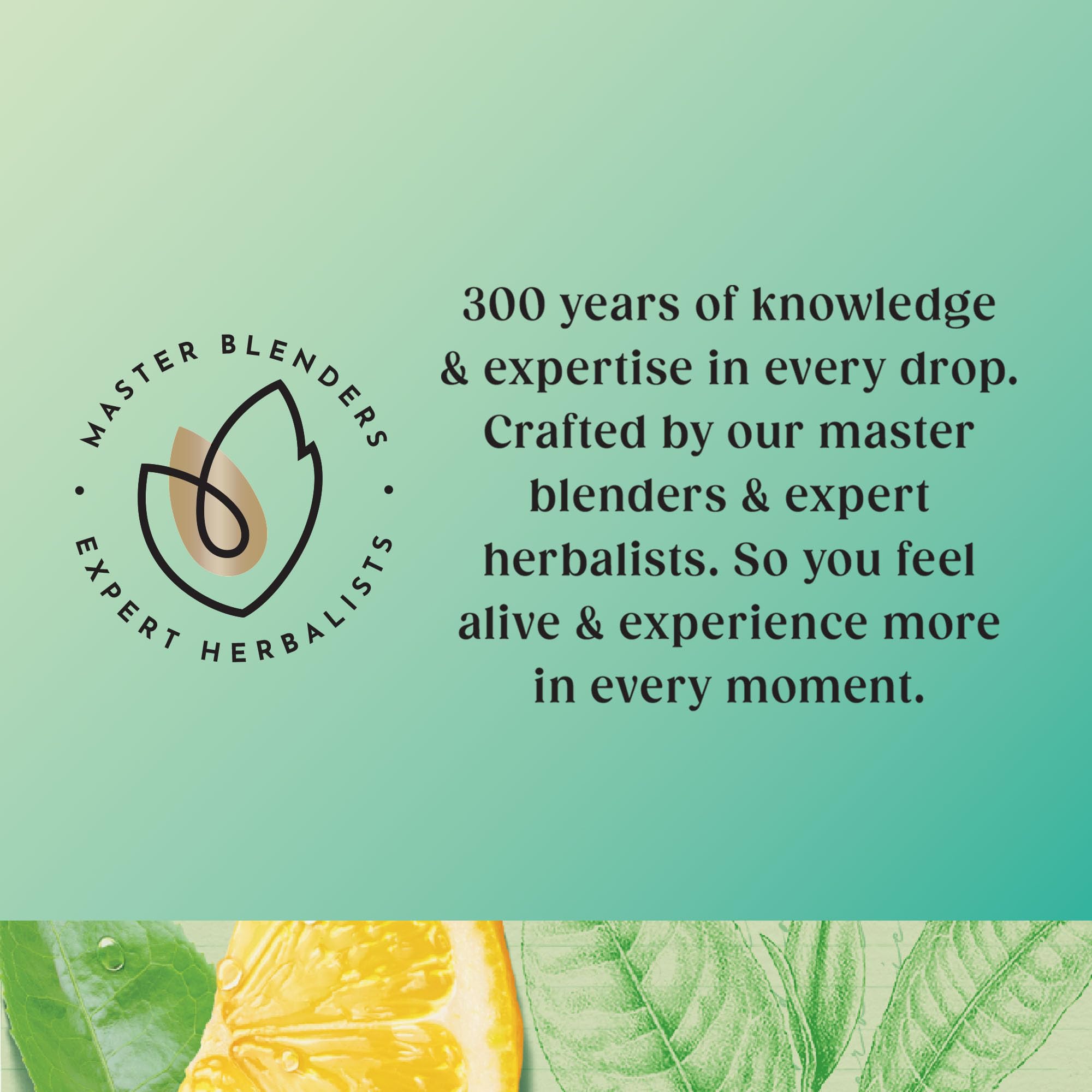 Twinings Superblends Cleanse Tea - Green Tea Herbal Infusion with Matcha, Lemon & Fennel Seeds, 20 Biodegradable Tea Bags 5