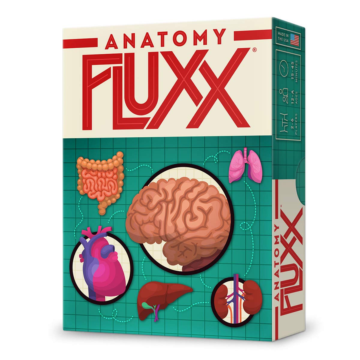 Looney Labs Fluxx: Anatomy Edition Card Game