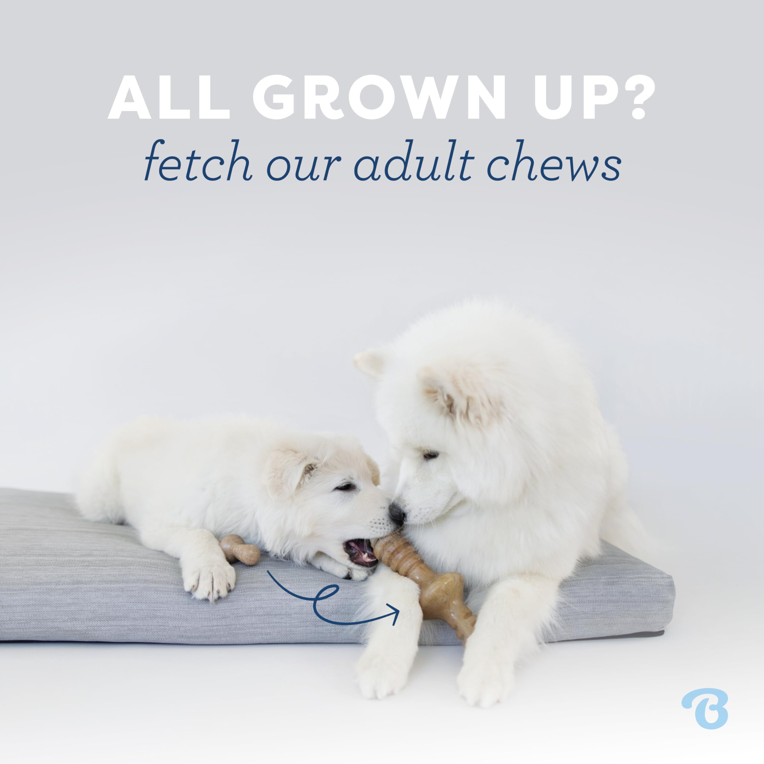 Benebone Puppy Tiny 2-Pack Indestructible Chew Toy - Real Bacon/Maple Flavor | For Dogs up to 15 lb 5