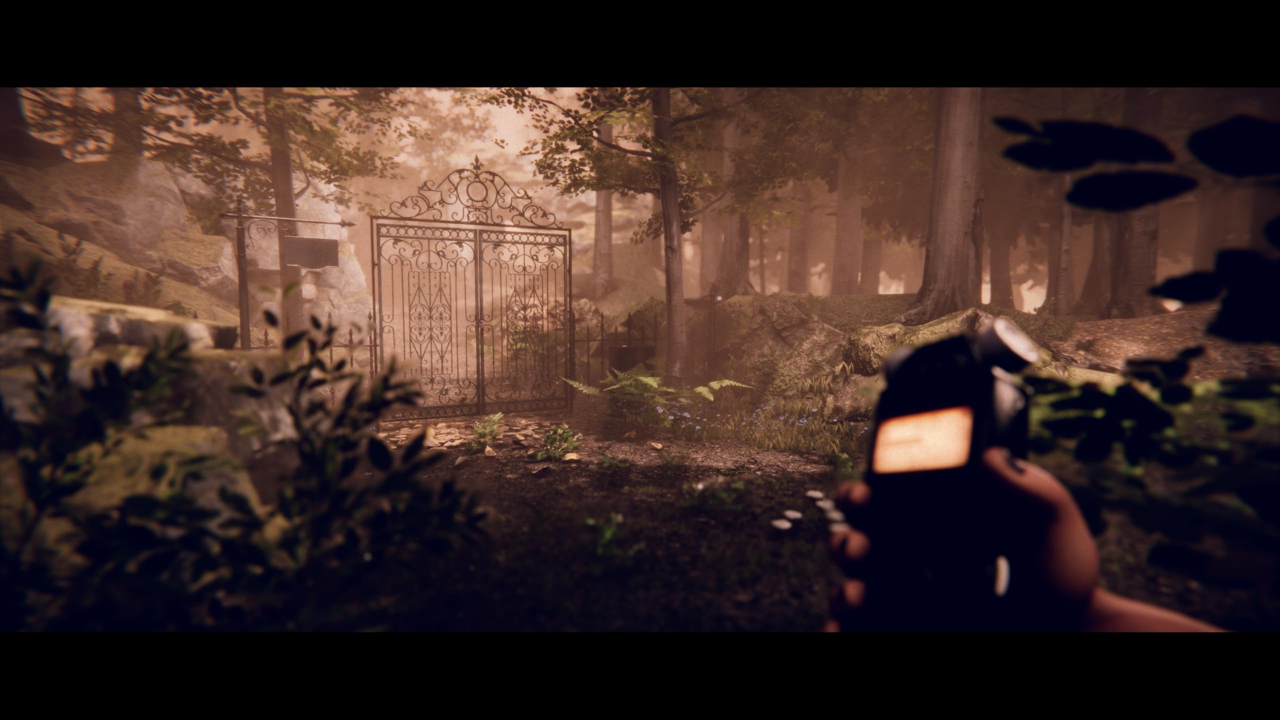 Project Songbird [PS5] 2