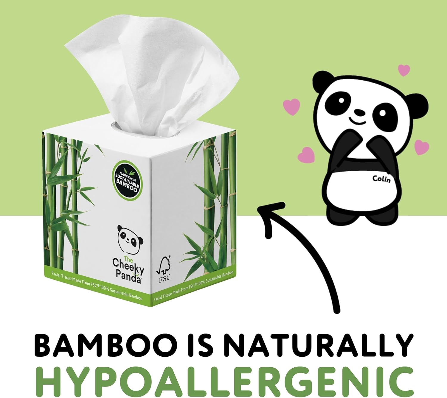 The Cheeky Panda - Bamboo Facial Tissues 12-Pack | Plastic-Free, Hypoallergenic Face Tissues 3