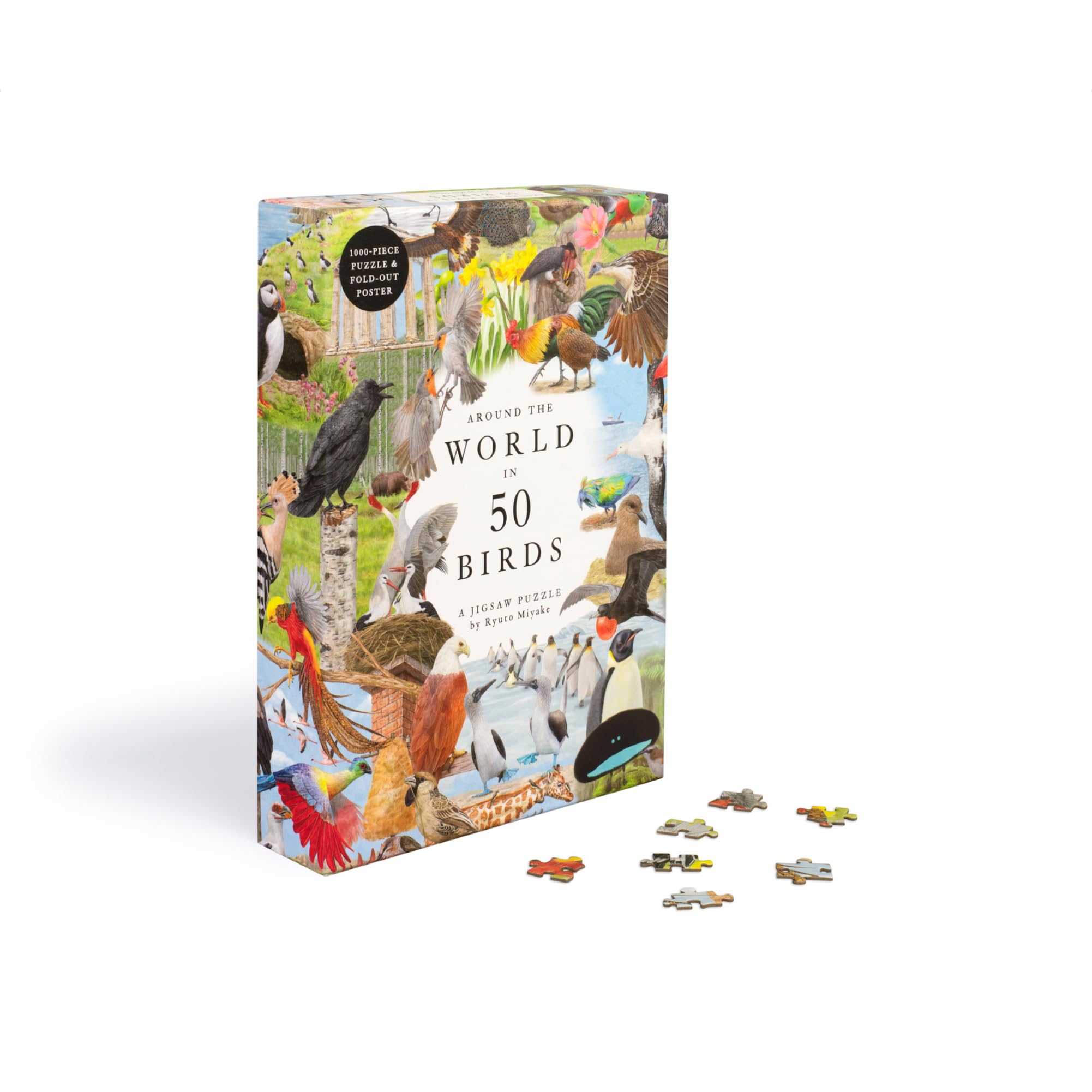 Around the World in 50 Birds: 1000-Piece Jigsaw Puzzle by Laurence King Publishing 3