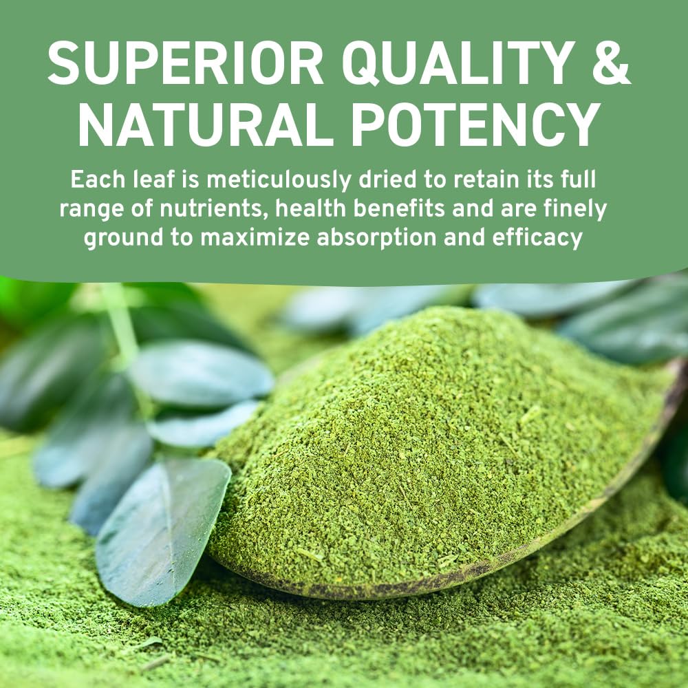 HANDPICK Moringa Powder (500g) - Pure Moringa Oleifera Leaves | Non-GMO, Gluten-Free | Resealable Pouch for Smoothies, Tea & Cooking 9