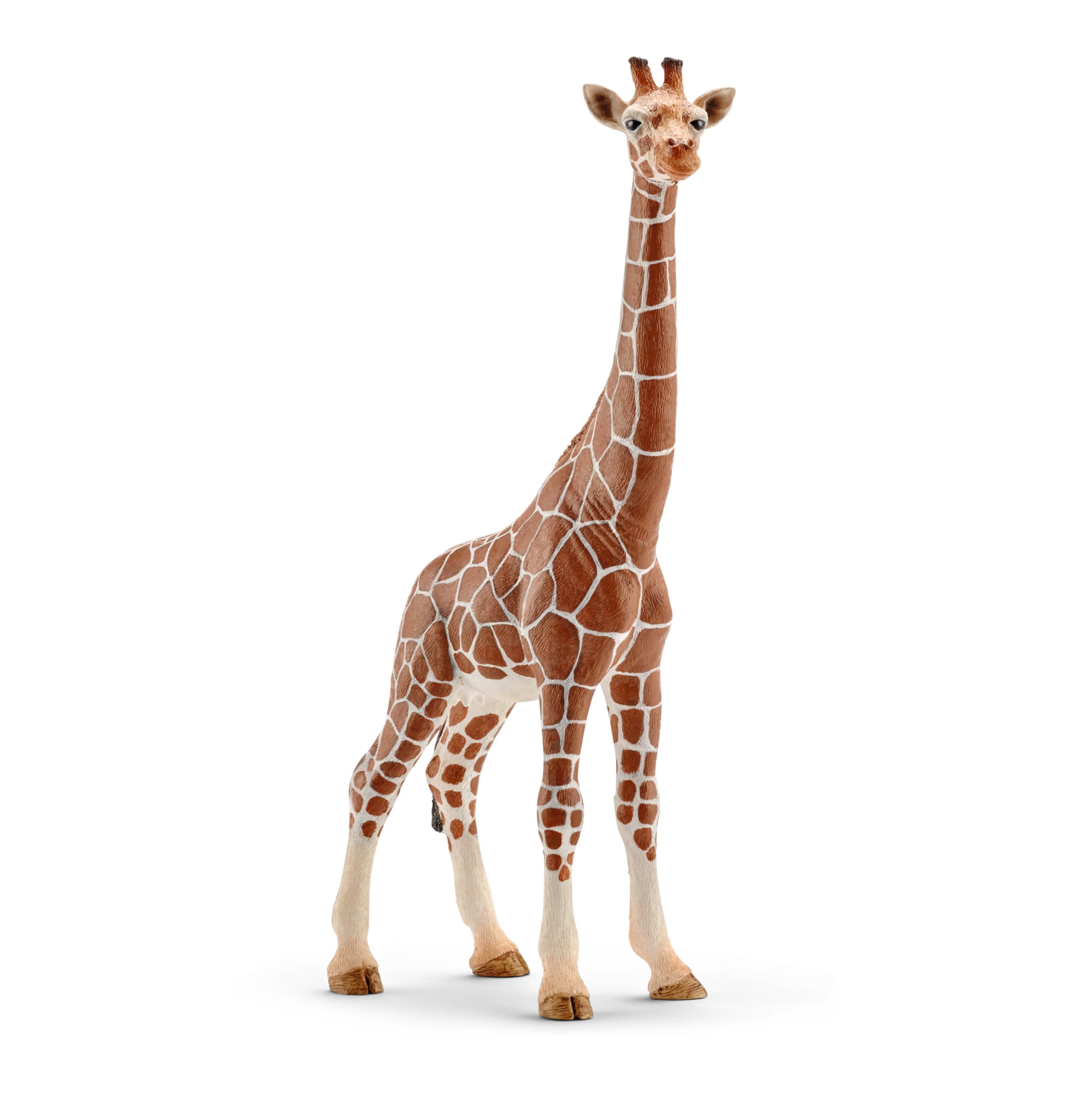 Schleich WILD LIFE - 5PC African Animal Toy Playset with Lion, Elephant, Monkey, Alligator, Giraffe | Ages 3+ 6