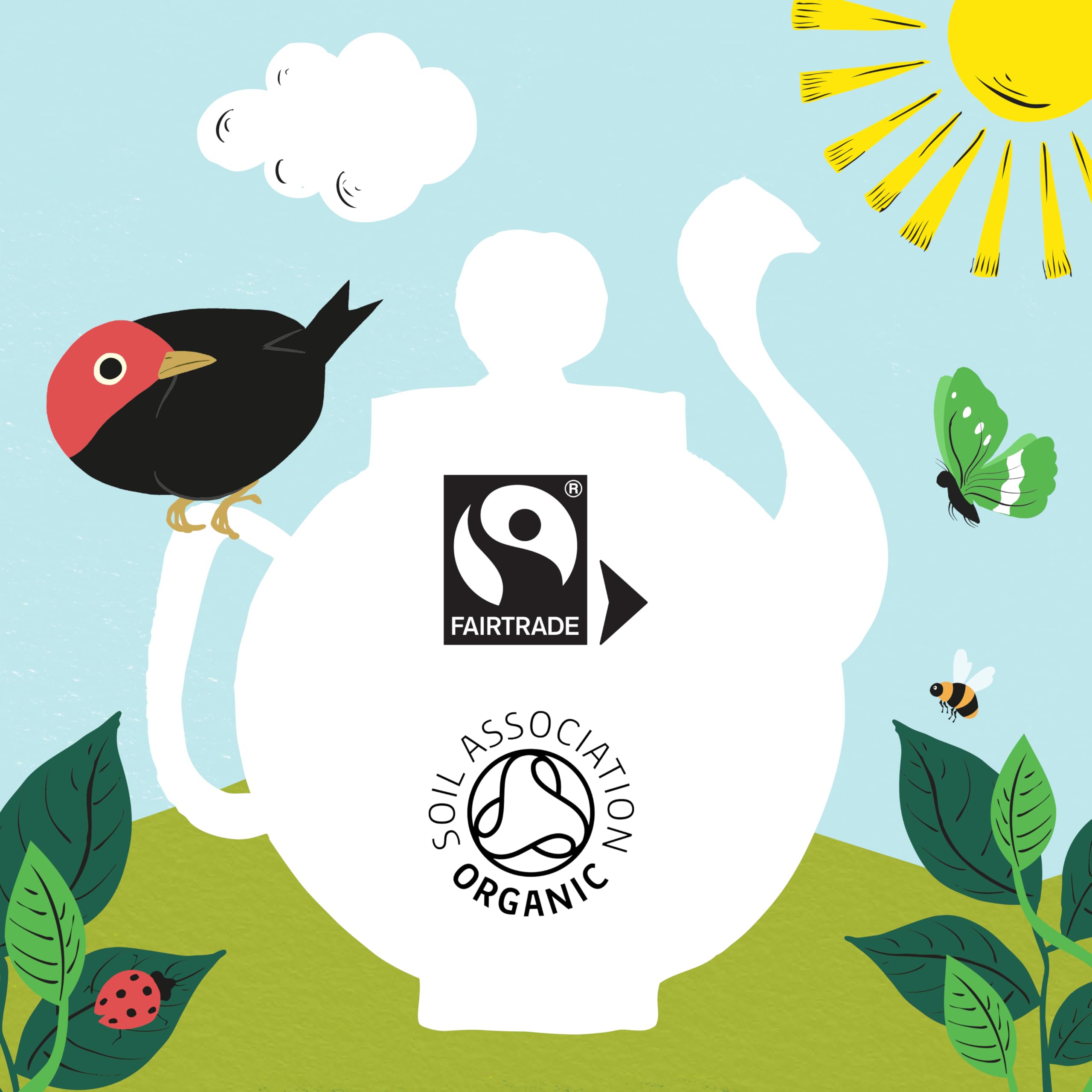 Clipper Organic Pure Green Tea Bags - 320 Bags (4 x 80) Bulk Pack, Fairtrade & Plastic-Free 13