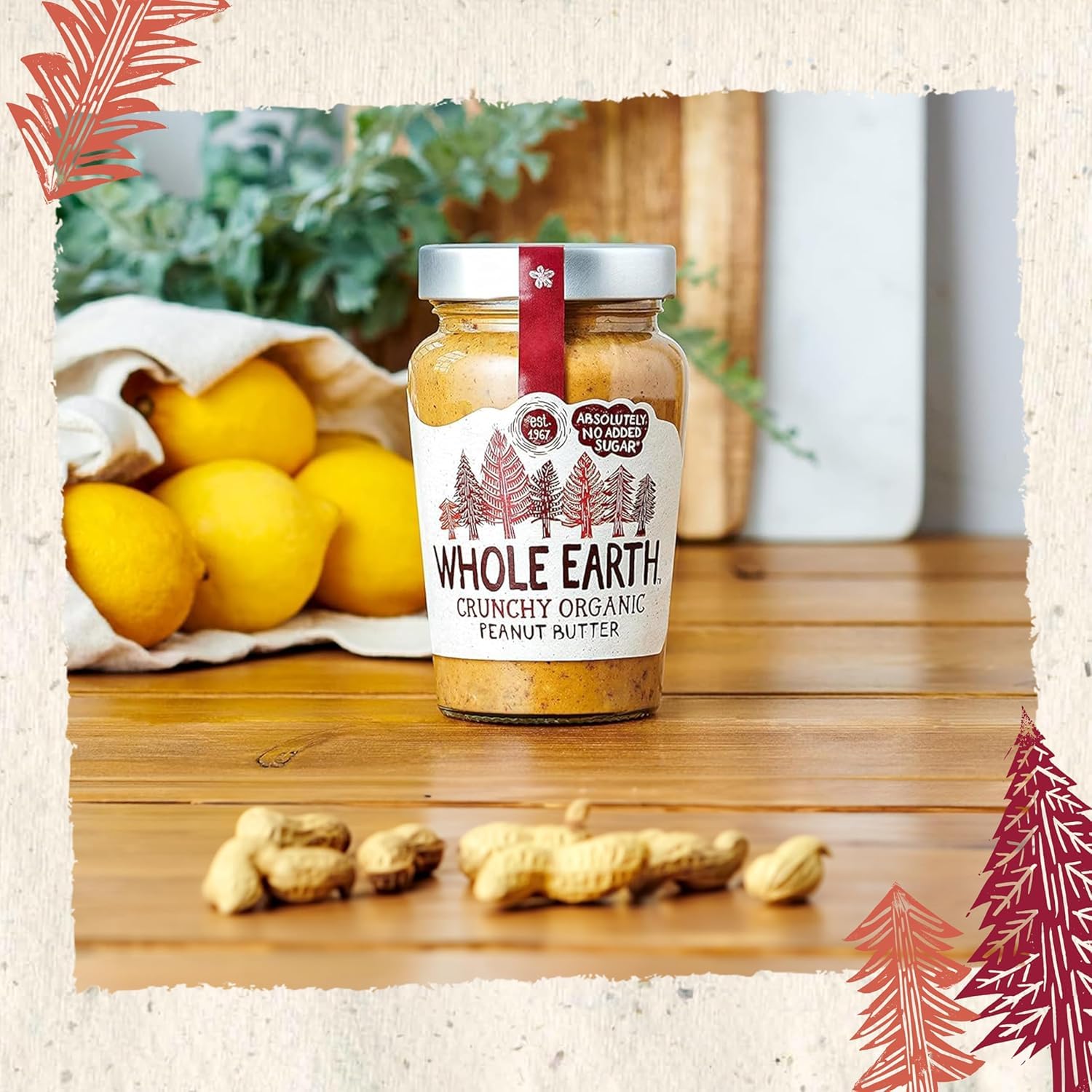 Whole Earth Organic Crunchy Peanut Butter, 6 x 227g Jars, 100% Nuts, No Added Sugar, Gluten Free, Vegan 3