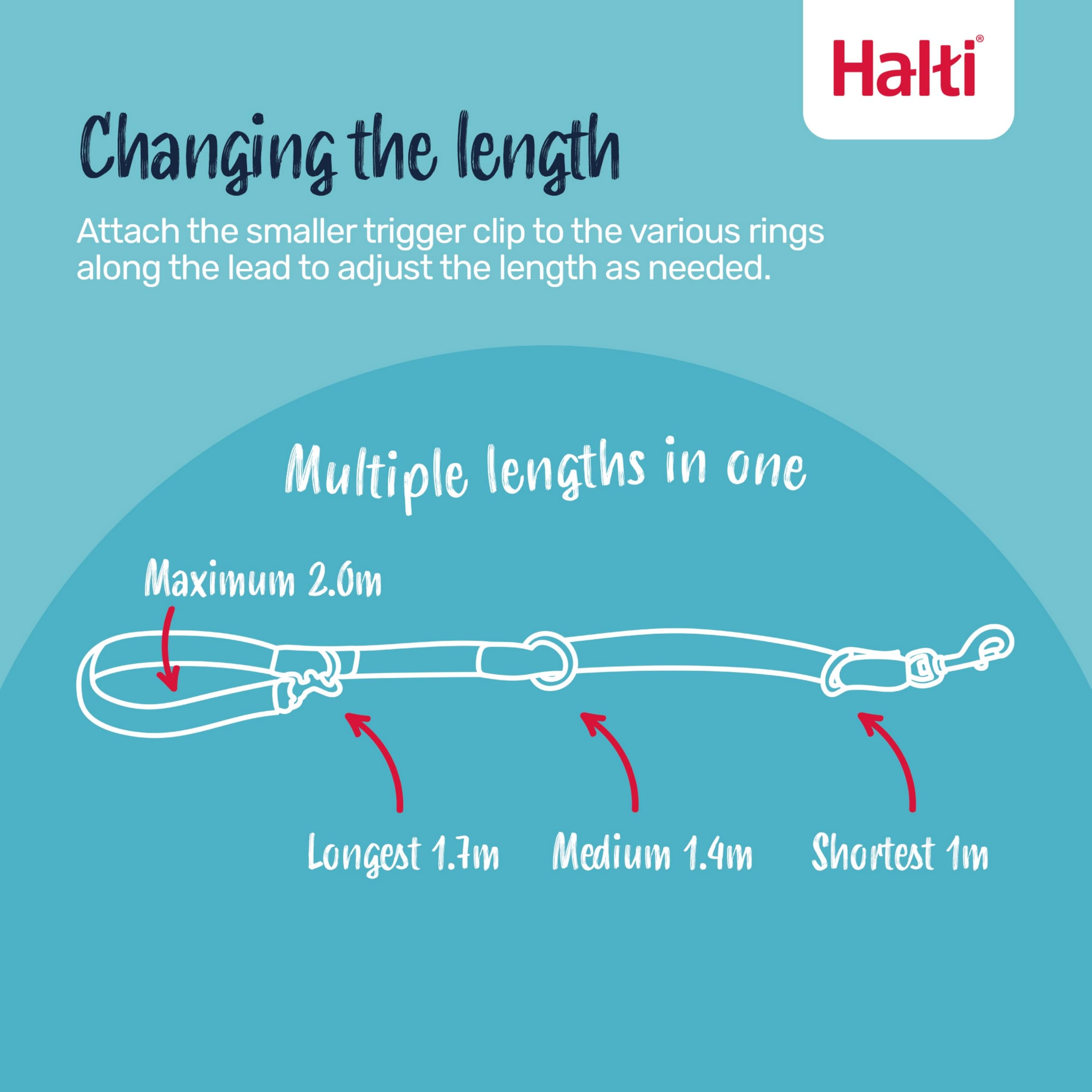 Halti Training Lead - Double-Ended Leash for No Pull Training | Size Small, Black, 2m 2