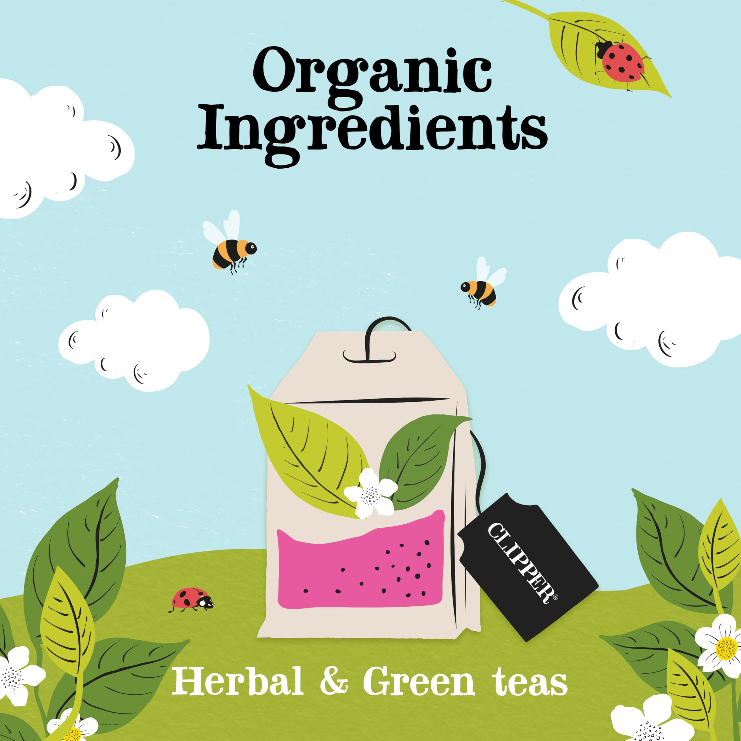 Clipper Organic Herbal & Green Tea Selection Gift Box - 45 Plastic-Free Tea Bags 4