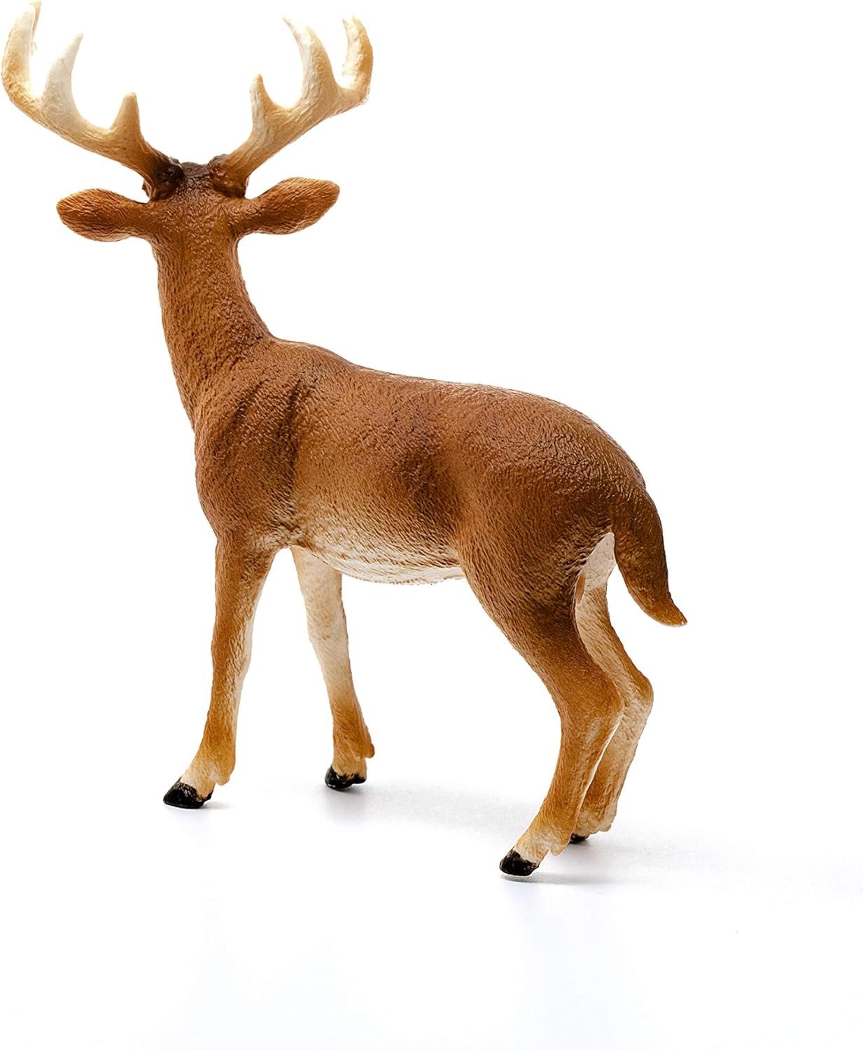 Schleich 14818 White Tailed Buck Wildlife Figurine 3