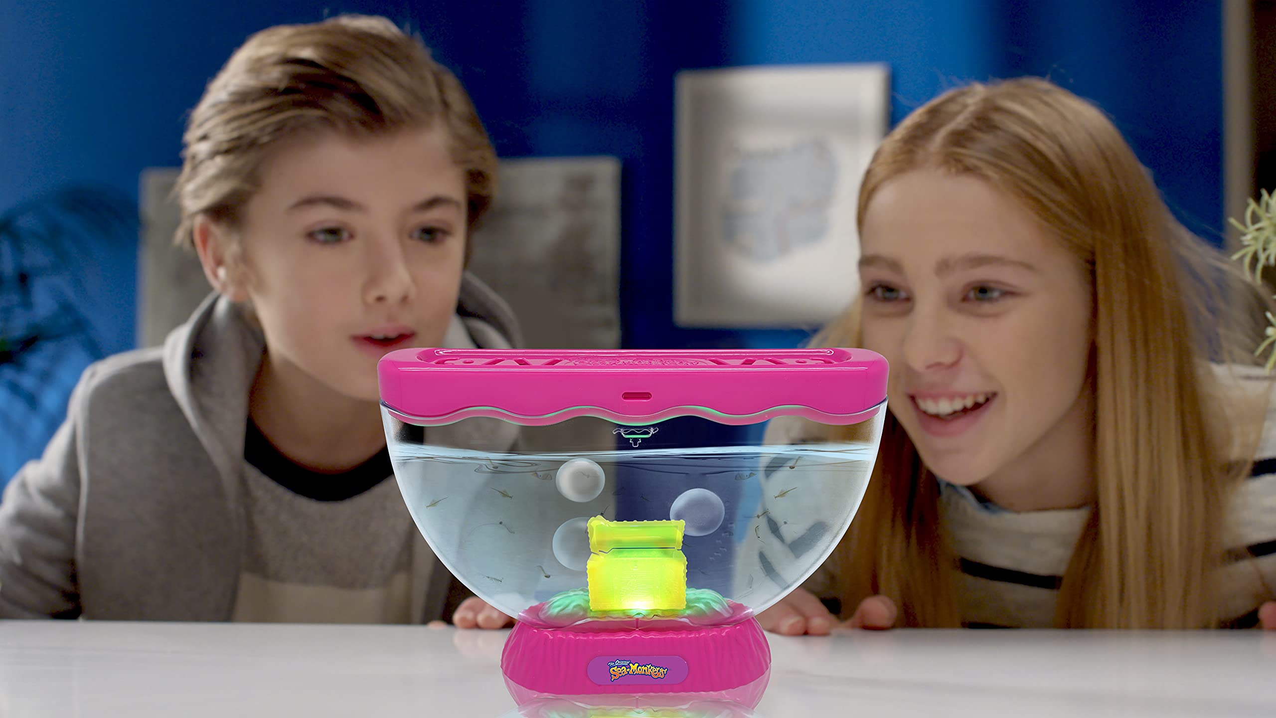 Sea Monkeys Ocean Treasure Aquarium - Educational Science Kit for Kids 6+ 4