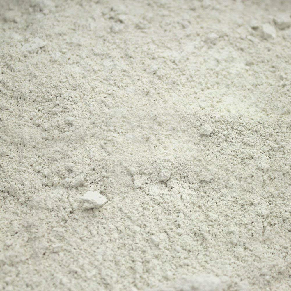 Wholefood Earth Diatomaceous Earth - Natural Insect Control Substrate | 1kg Raw Unrefined Powder 4