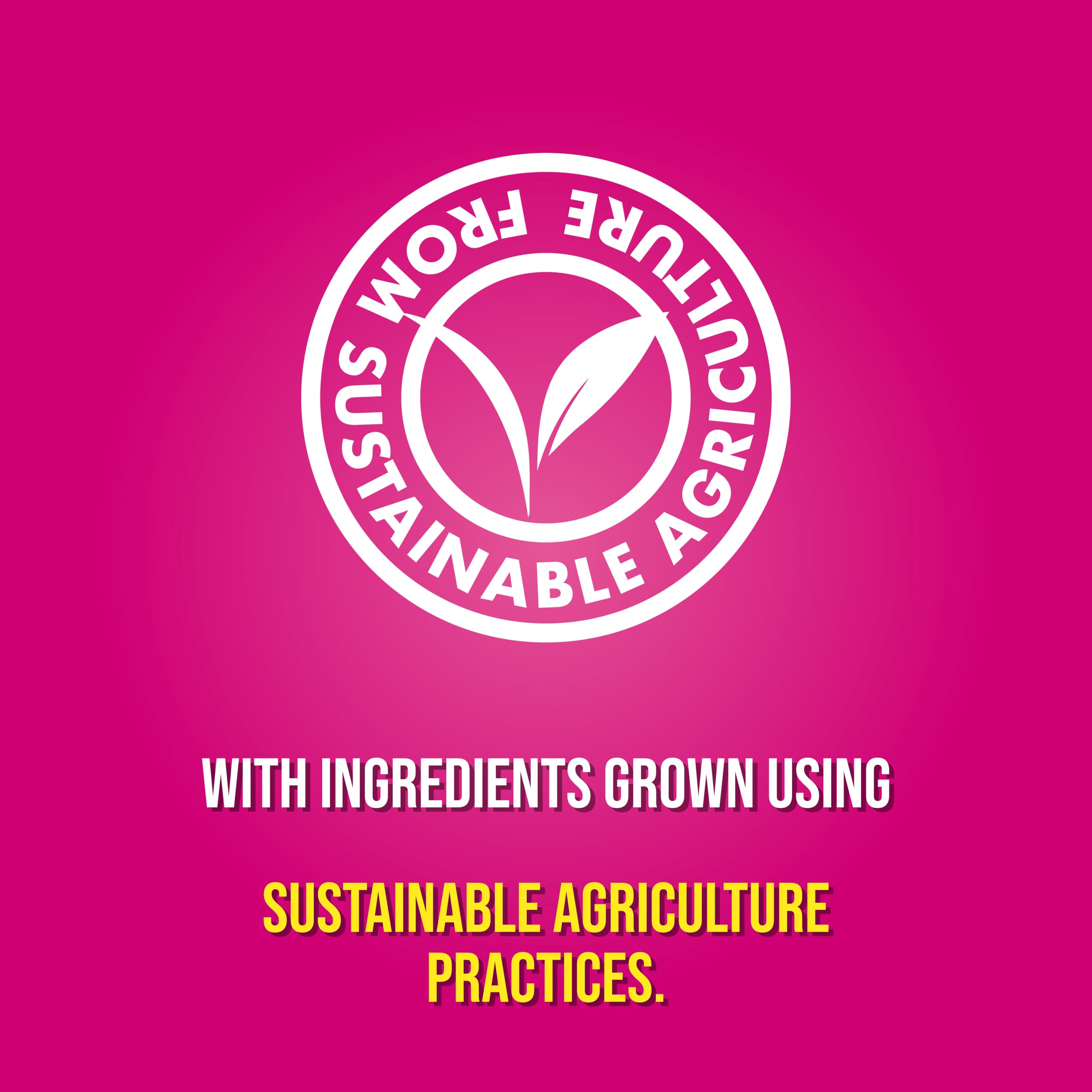 Pot Noodle Piri-Piri Chicken Instant Noodle Snack - Spicy Chicken Flavour, 4-Minute Meal