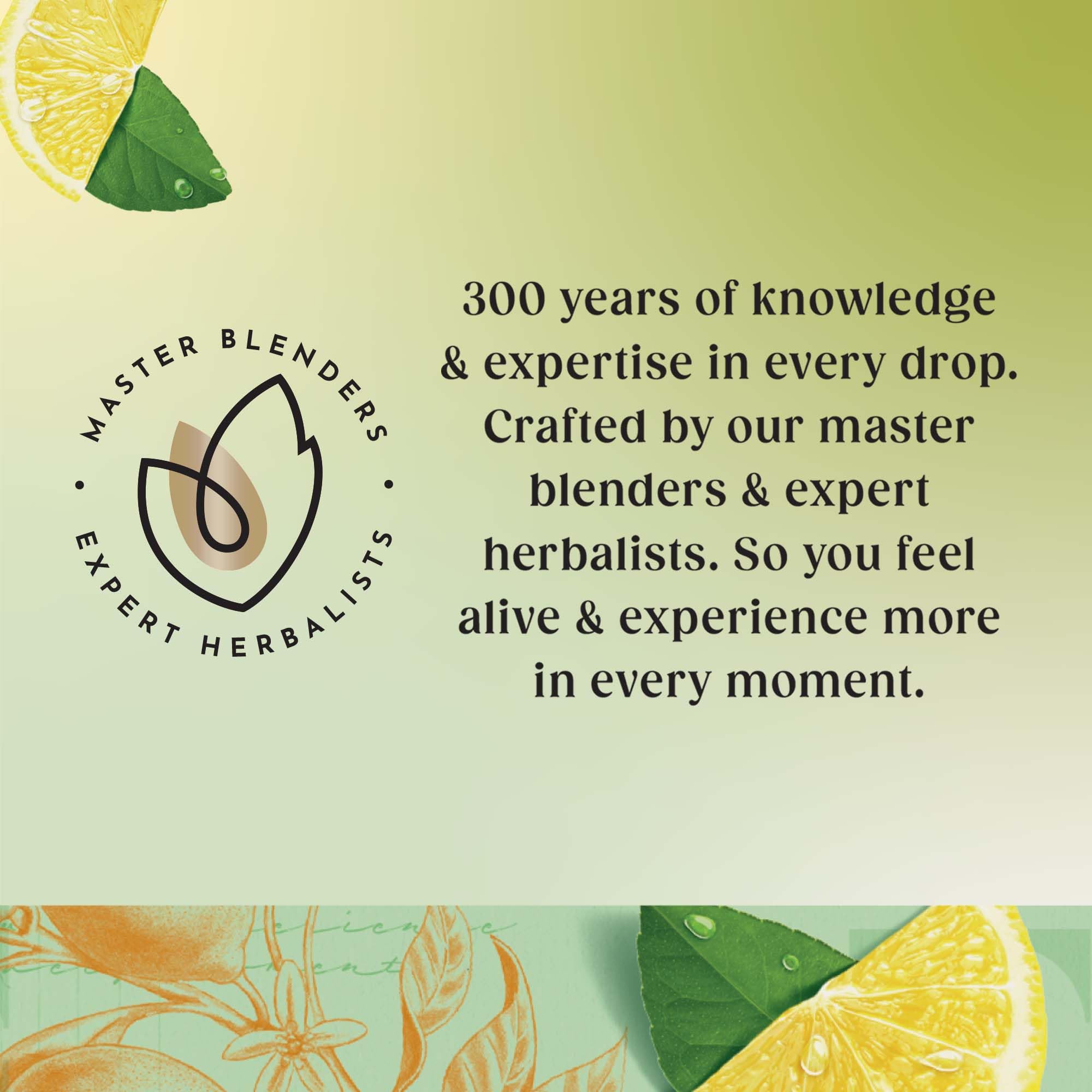 Twinings Green Tea with Lemon 320 Tea Bags (Multipack of 4 x 80 Bags) 7