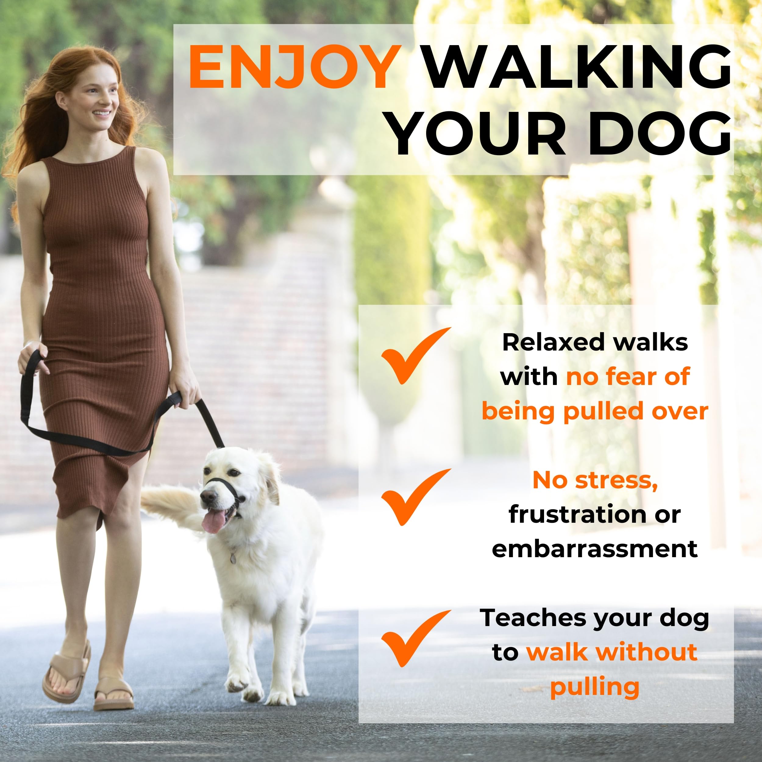 Canny - Canny Collar Head Collar for Dog Training and Walking - Black (Size 4, Model 02-1005) 19