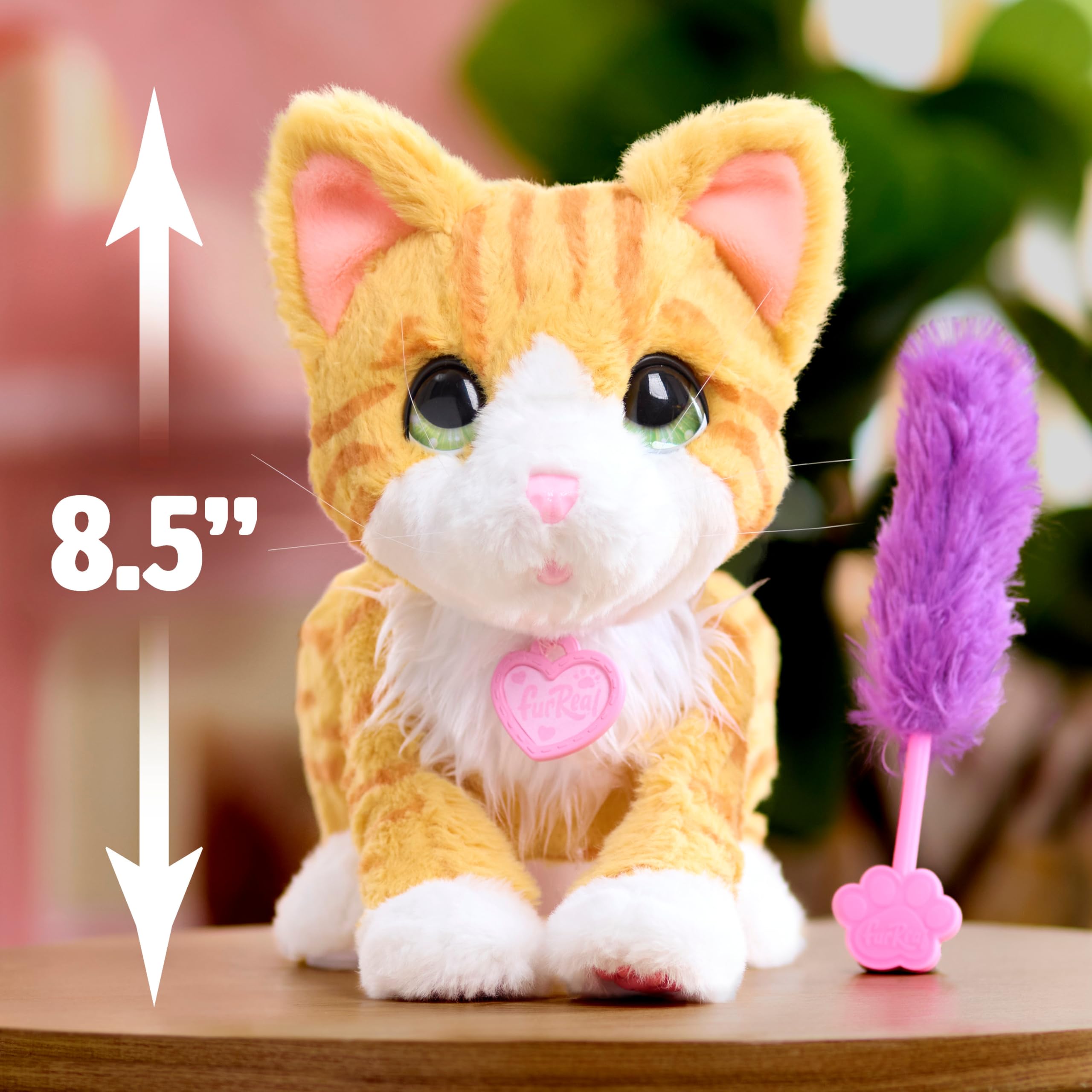furReal Bella the Biscuit-Making Kitty - Interactive Plush Cat Toy for Kids 4+