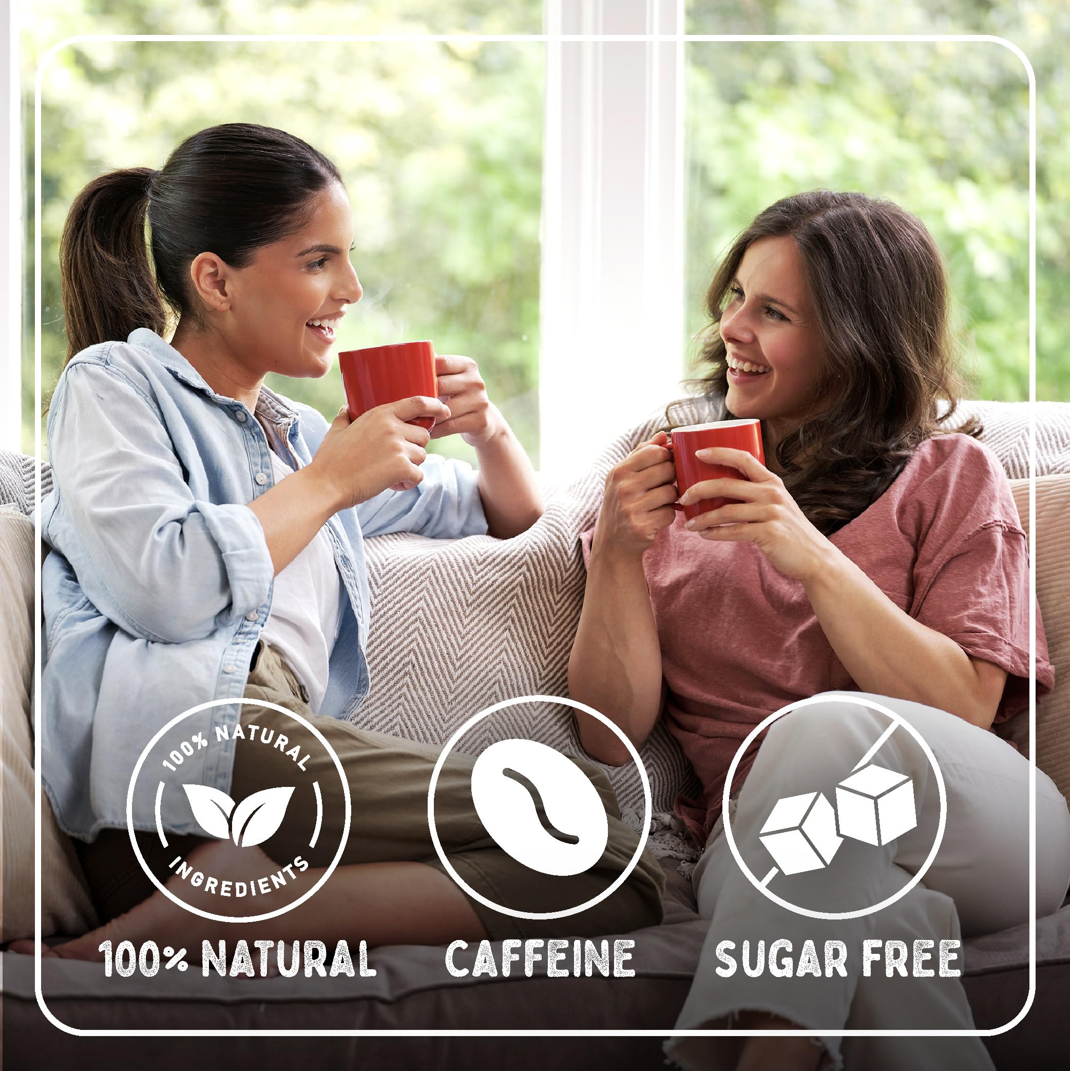 Typhoo One Cup Tea Bag 440 Count 8