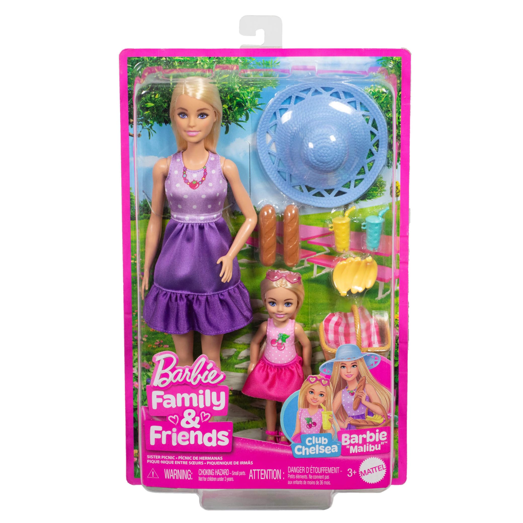 Barbie Family & Friends Dolls & Accessories Playset - Picnic-Themed Fun for Ages 3+ 4