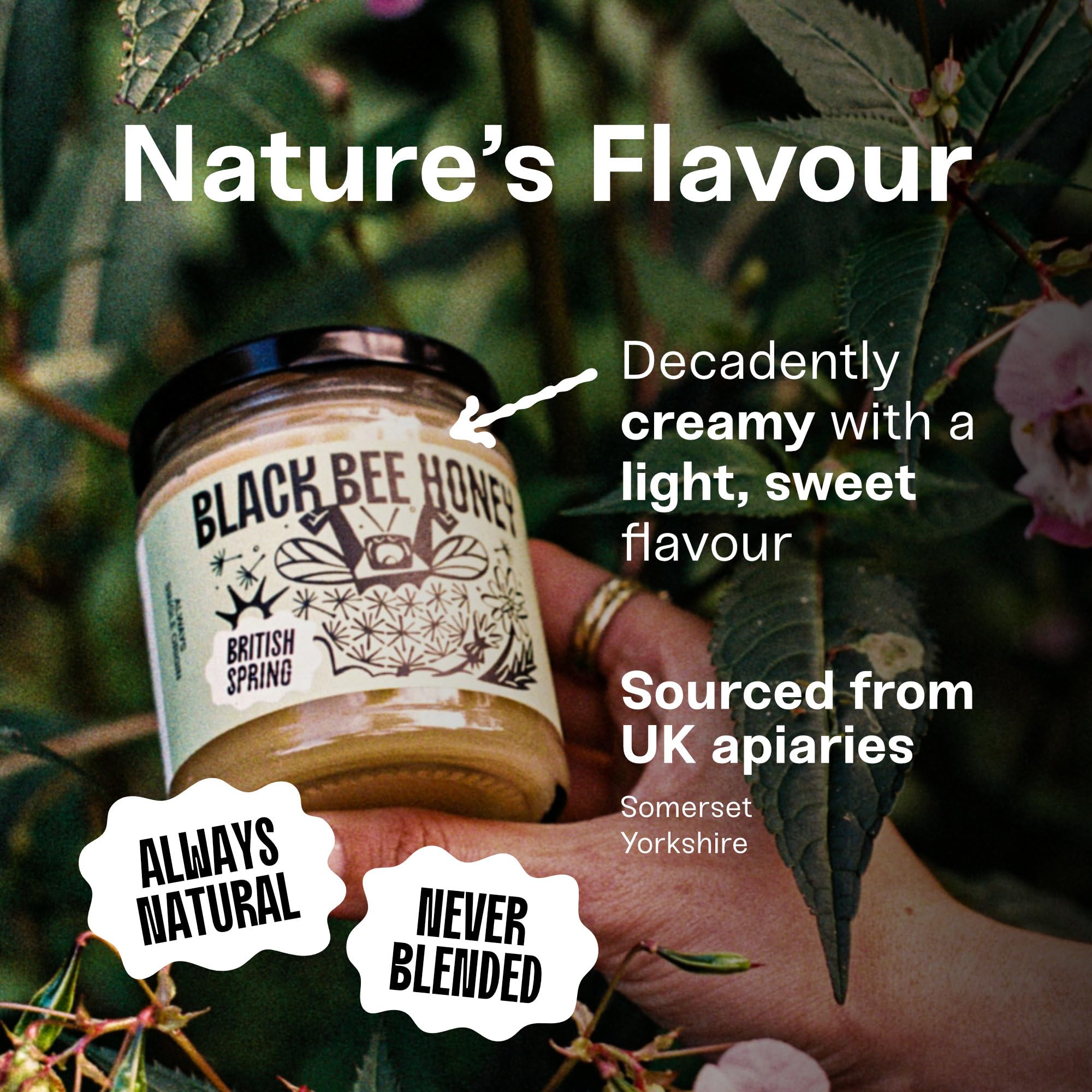 Black Bee Honey - Pure British Spring Soft Set Honey, Creamy and Lightly Sweet 3