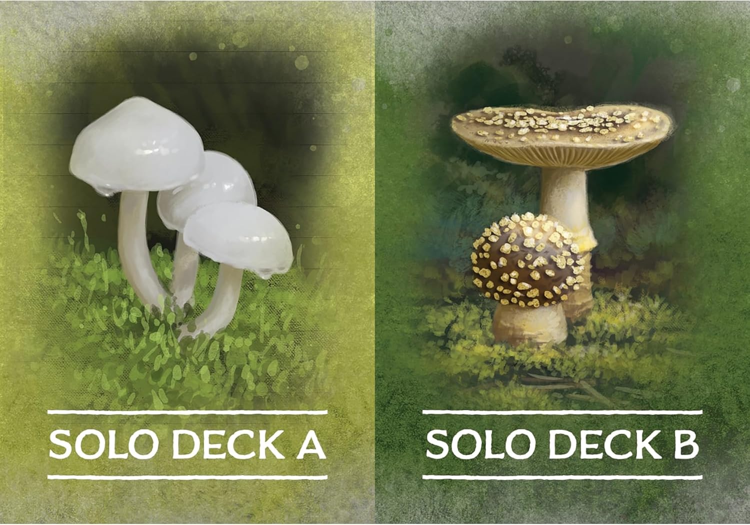 AEG Undergrove Board Game 4