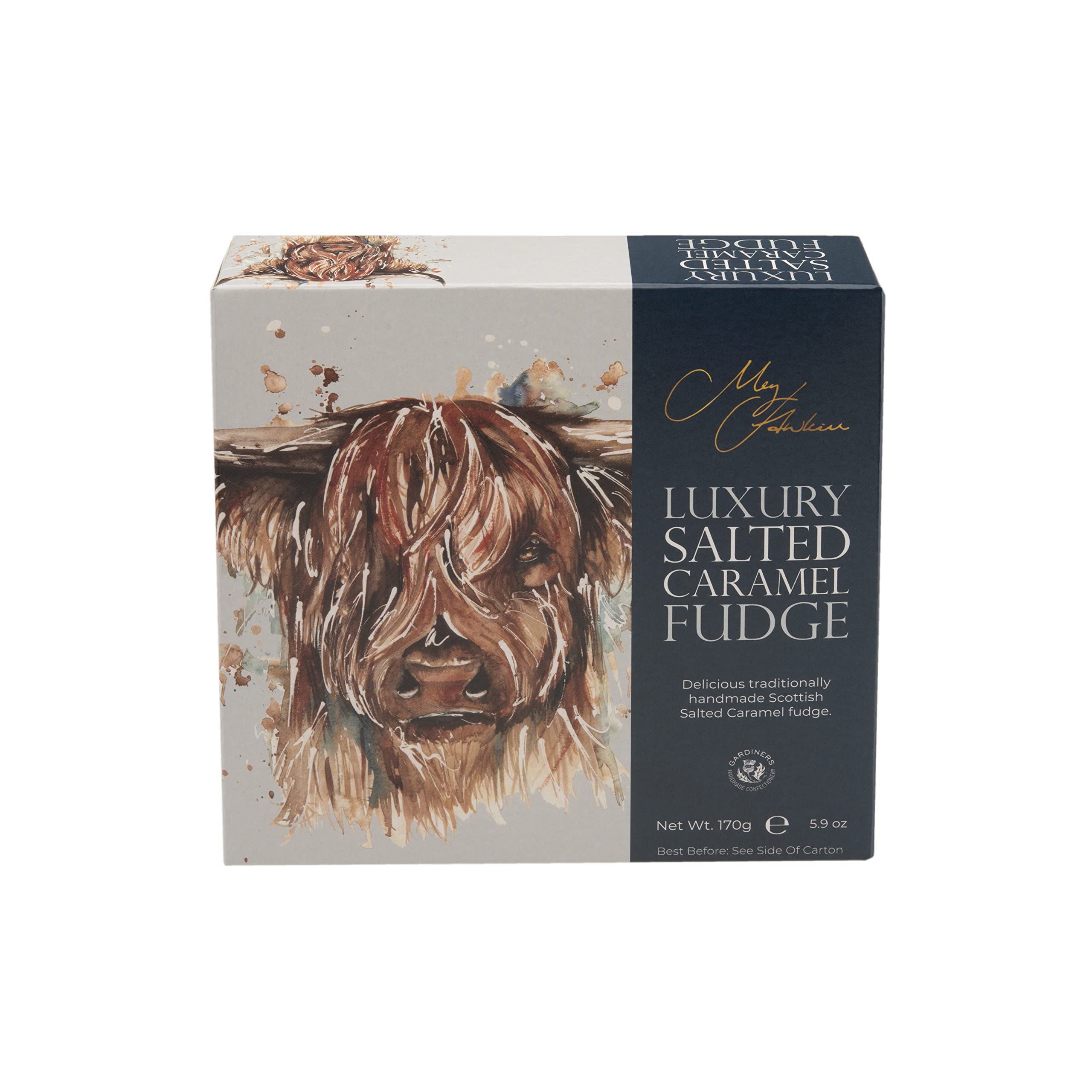 Gardiners of Scotland Salted Caramel Fudge - Luxury Handmade Soft Fudge | 170g Carton 1