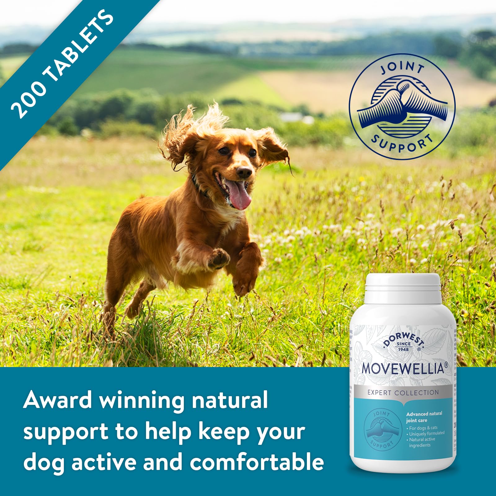 DORWEST HERBS MoveWellia Joint Care Supplement for Dogs and Cats - 200 Tablets 2