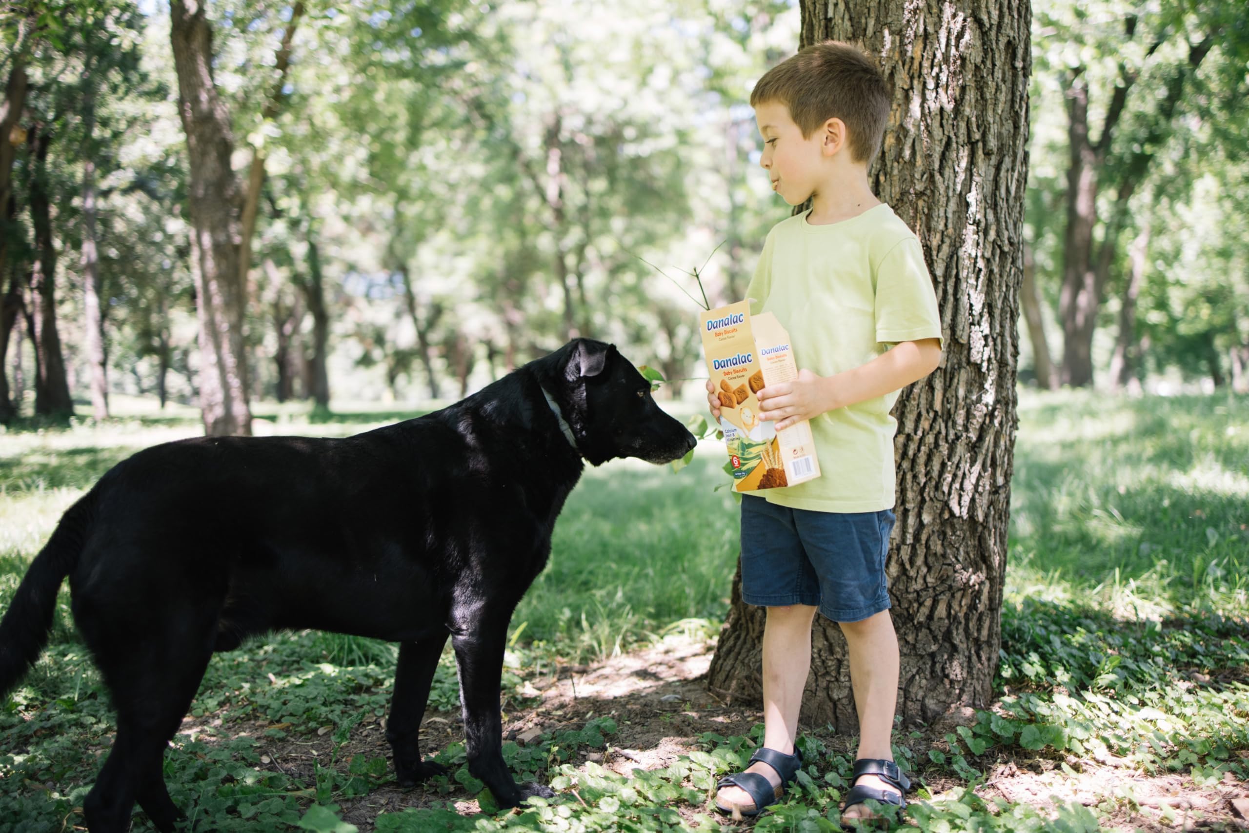 Danalac Cocoa Baby Biscuits 120g - Finger Food Snack for Toddlers 6+ Months 11