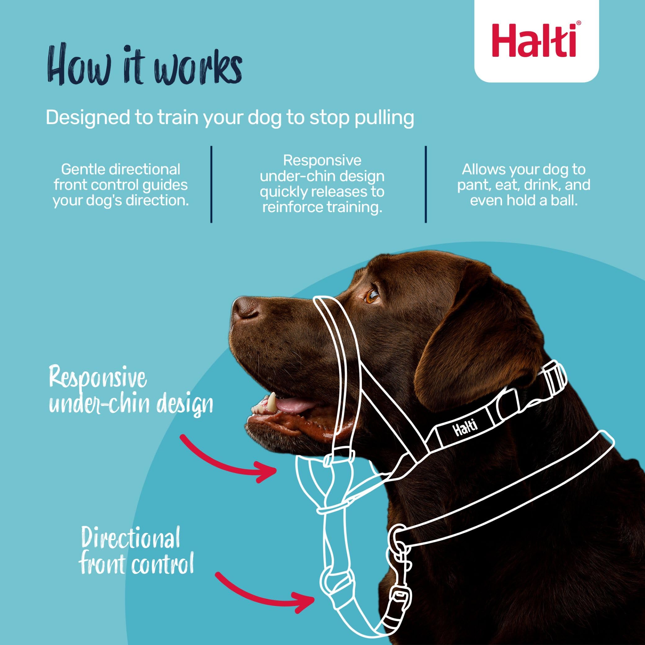 Halti Headcollar - Stop Pulling | Size 2 | Desert Sand | Reflective