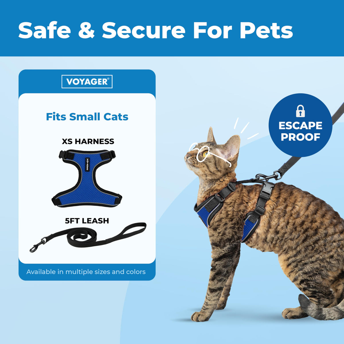 Best Pet Supplies Voyager Escape Proof Cat Harness and Leash Set - Reflective Stitching, 5ft Leash, Royal Blue, XS
