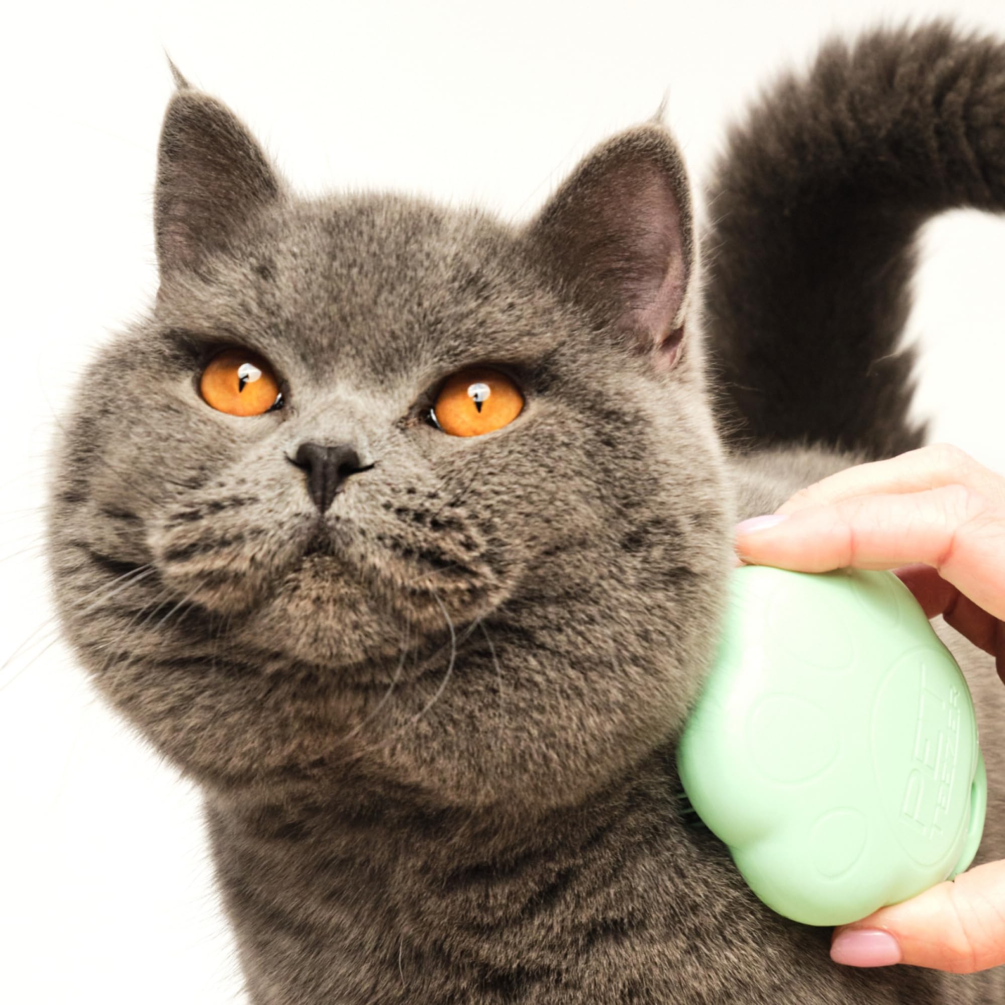 Tangle Teezer Pet Teezer Cat Brush - For Short to Medium Fur | Green Plastic 6