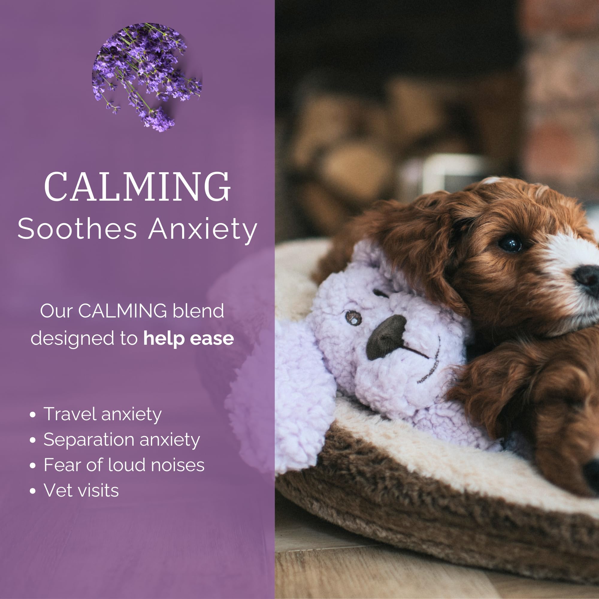 AROMADOG Calm Fleece Laying Down Dog Toy - Lavender Scented, Stuffing-Free, Squeaker | 33cm 2