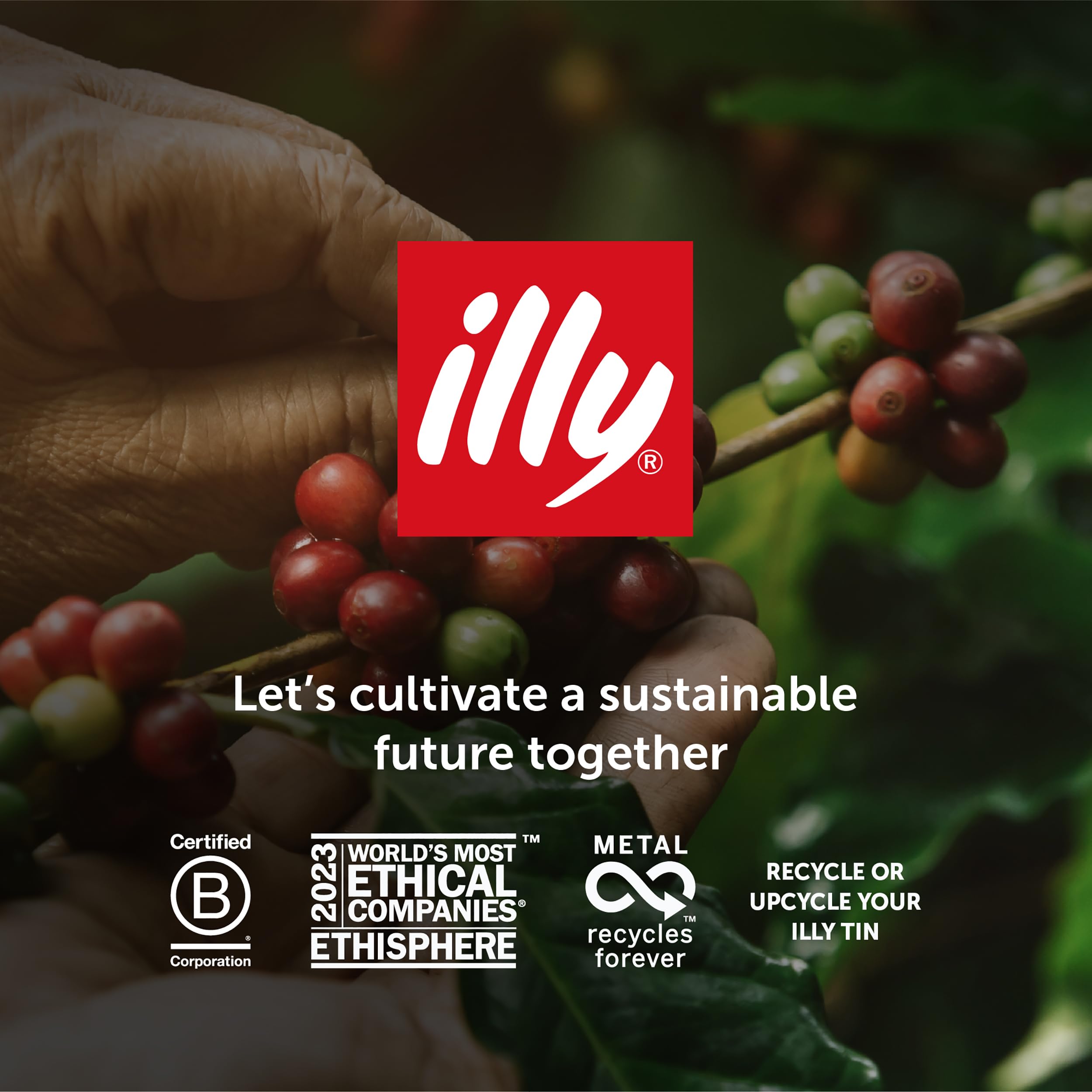 illy Brazil Cerrado Mineiro Single Origin 100% Arabica Coffee Beans - Regenerative Agriculture Certified - 250g Tin 7
