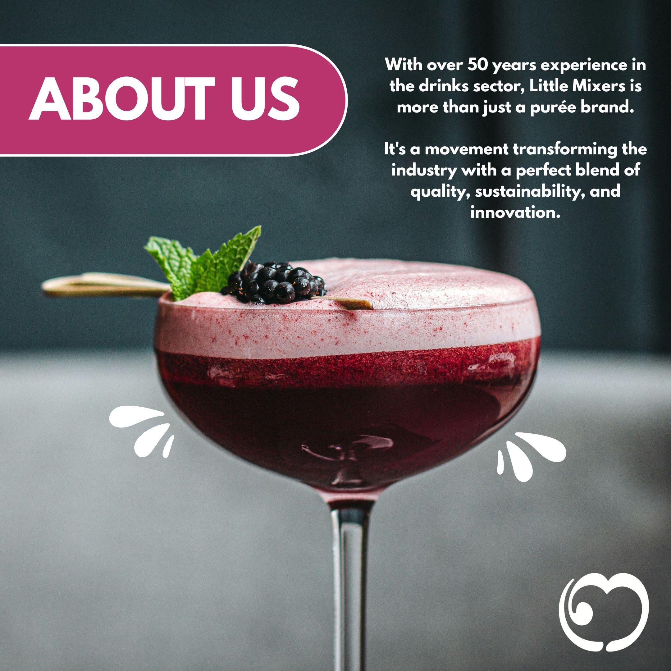 LITTLE MIXERS Quality Blackberry Puree for Cocktails & Smoothies | 1L Carton | 90% Fruit Content 4