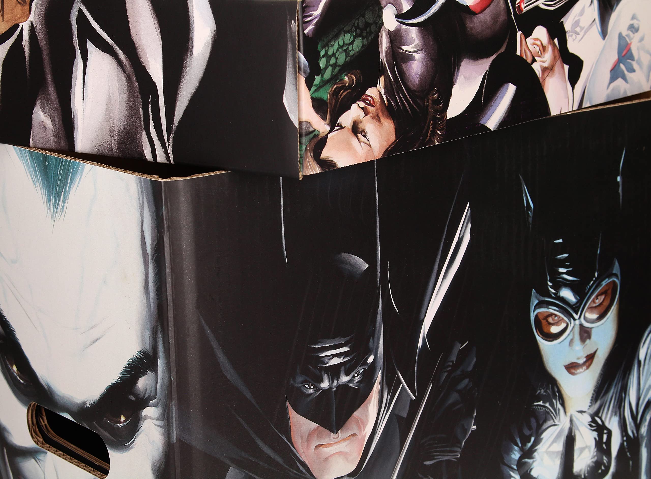 SD Toys – DC Comics Collection Alex Ross inspirierte Aufbewahrungsbox (SDTWRN21750) 5