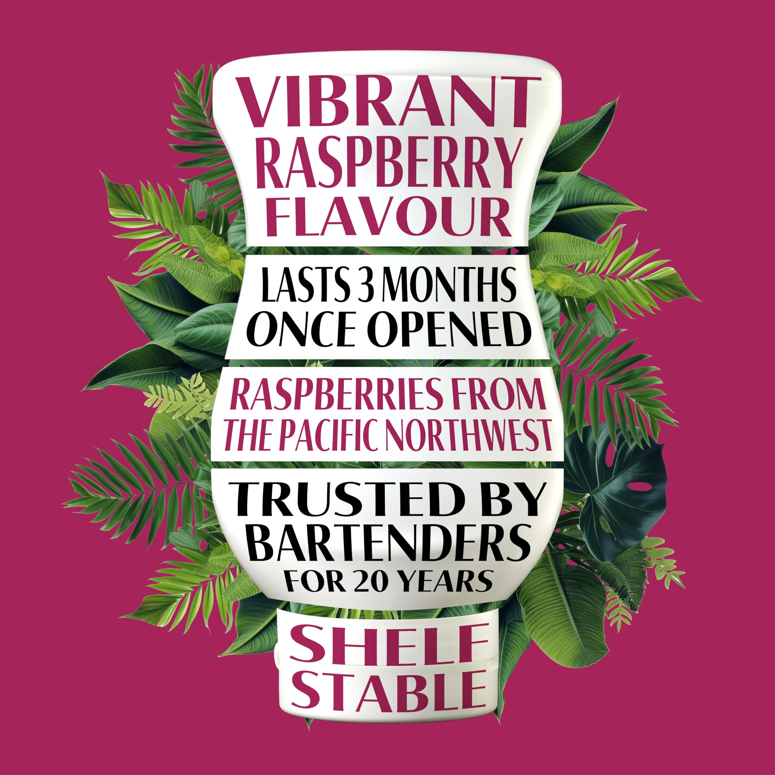 Reàl Infused Exotics Raspberry Puree Infused Fruit Syrup - 40% Real Raspberries | 500ml Squeezy Bottle 2