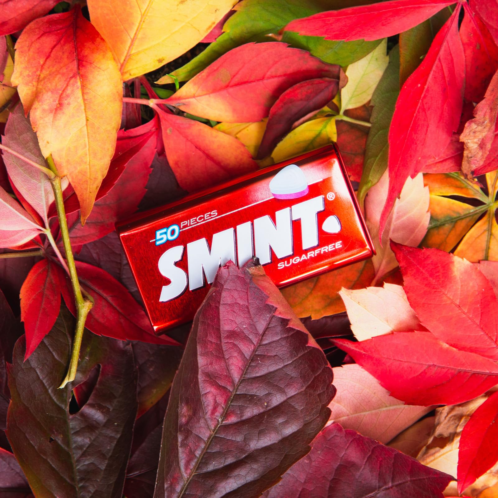 Smint Sugarfree Mints - 50 XXL Strawberry Mints (Pack of 12 Tins) 11