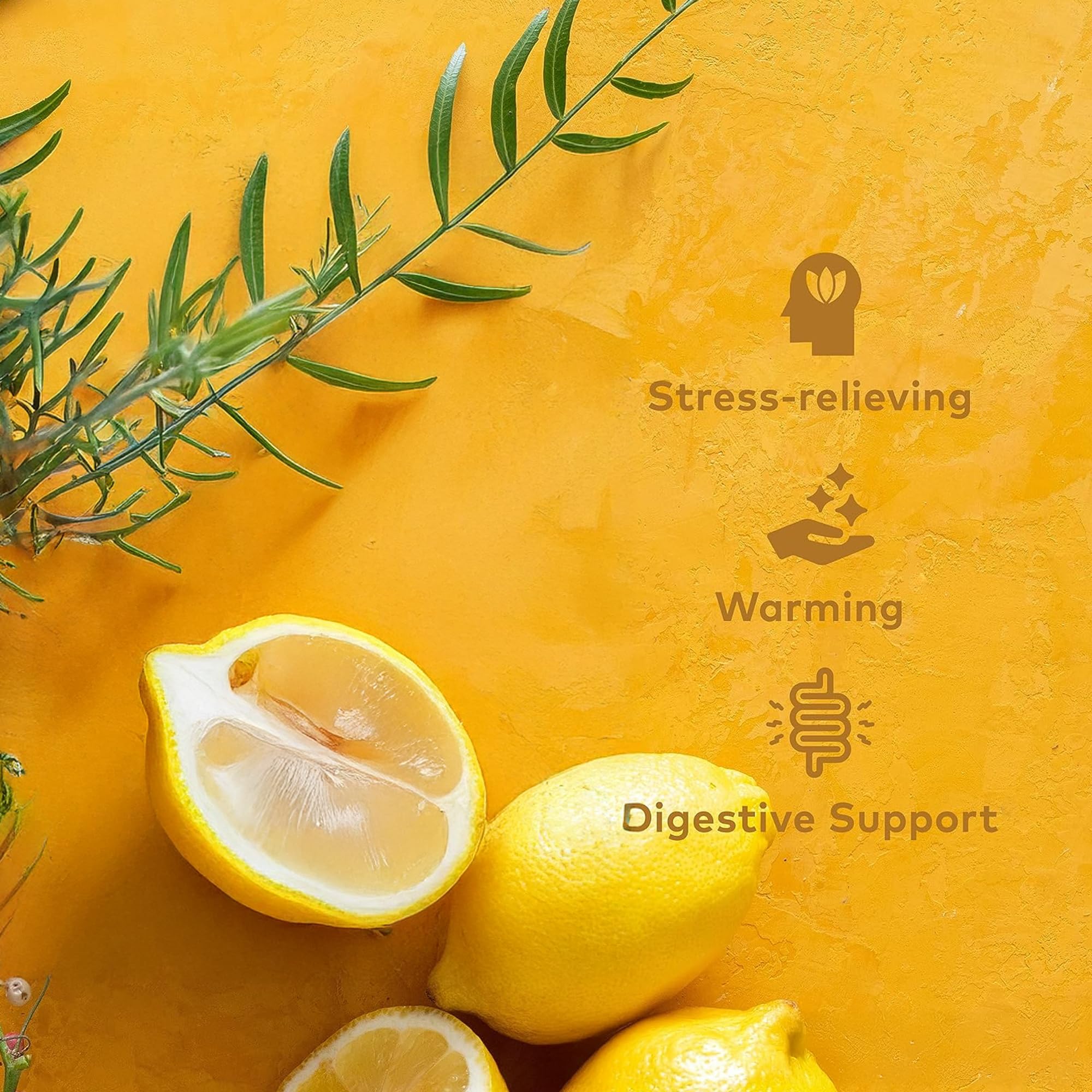 Organic India Tulsi Lemon & Ginger Tea, Caffeine-Free Herbal Tea, Certified Organic 8