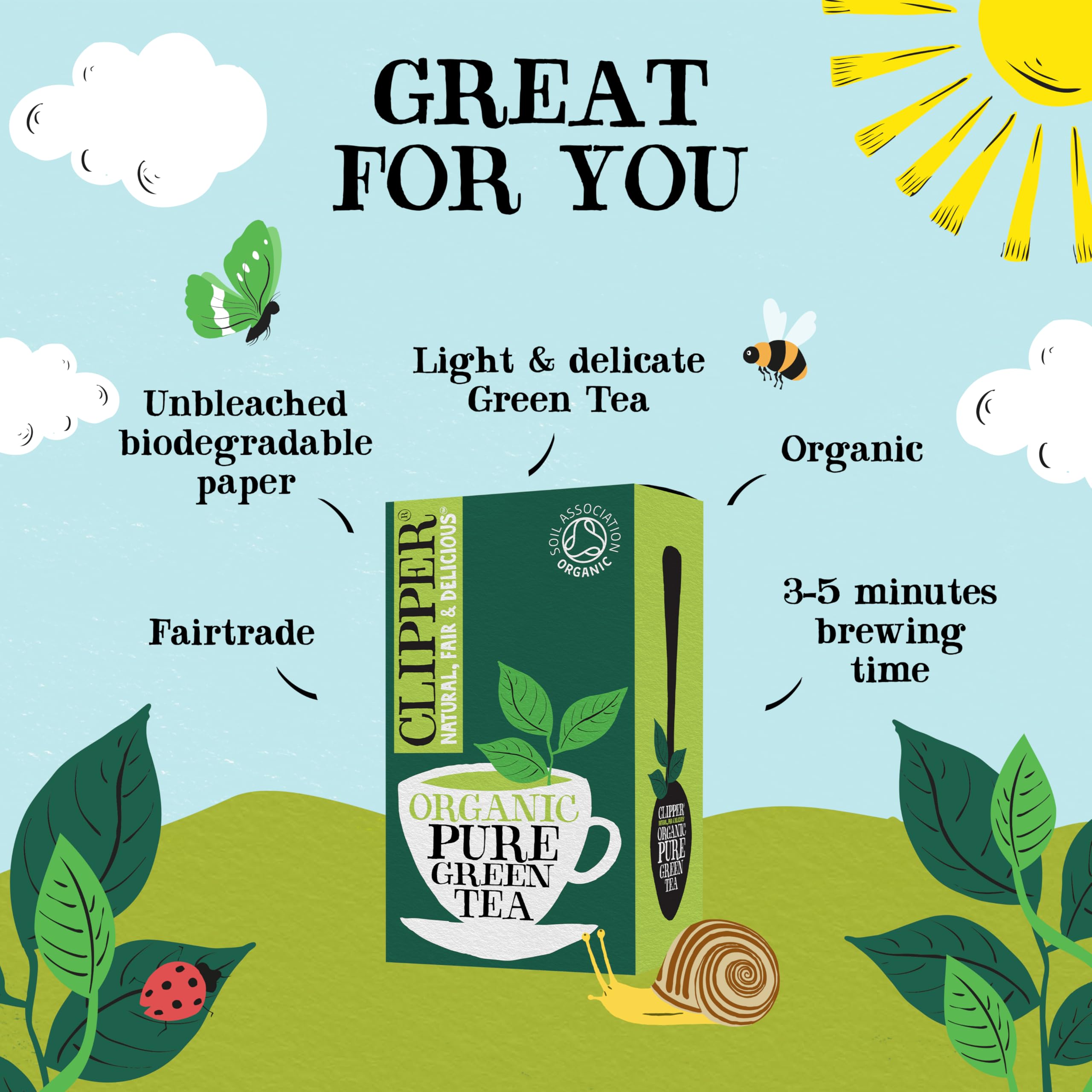Clipper Organic Fairtrade Pure Green Tea - 6 x 20 Teabags (120 Total) | Antioxidant Source 2